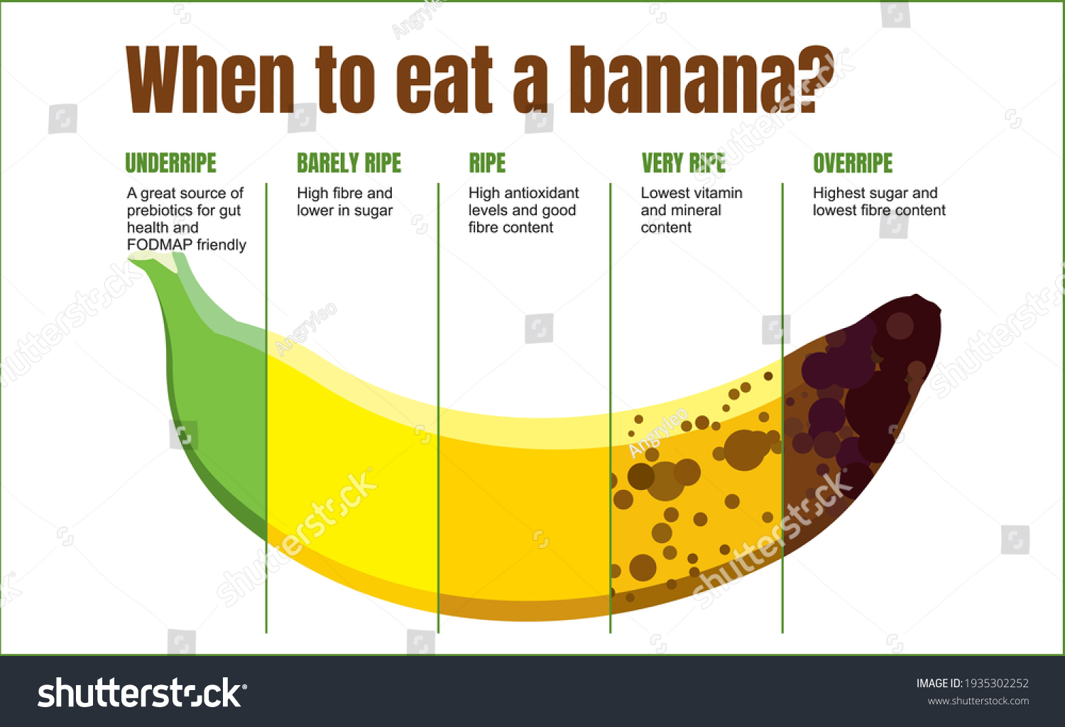 When Eat Banana Banana Ripeness Table Stock Vector (Royalty Free
