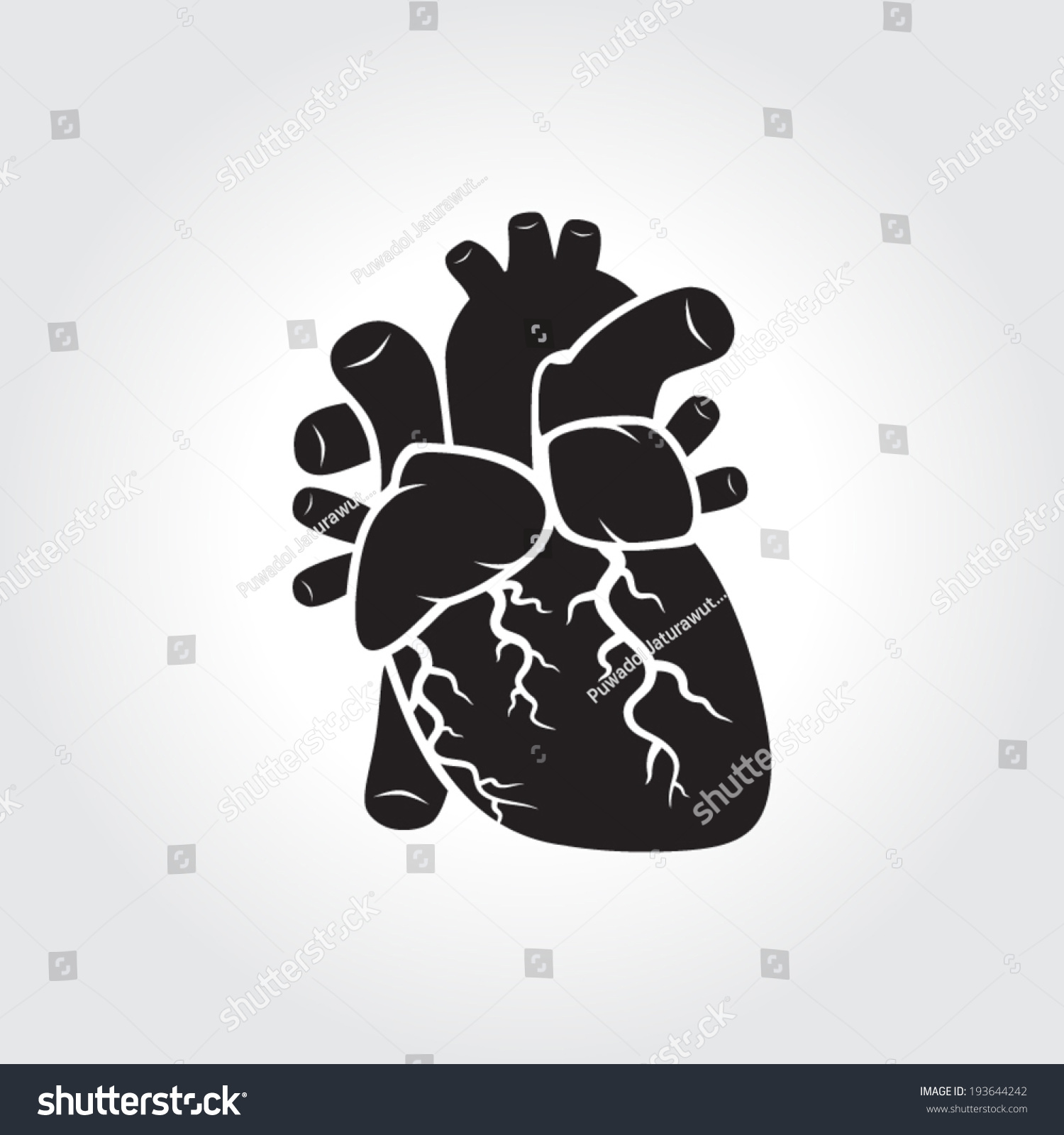 Anatomy Heart Stock Vector (Royalty Free) 193644242 | Shutterstock