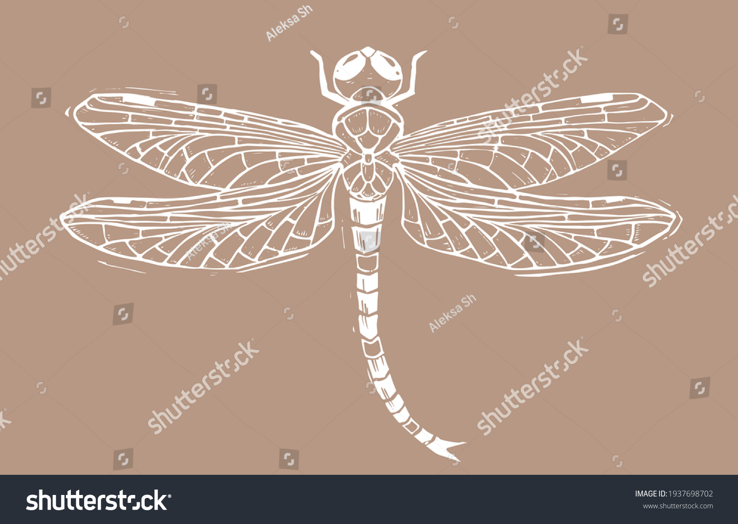 dragonfly drawings designs