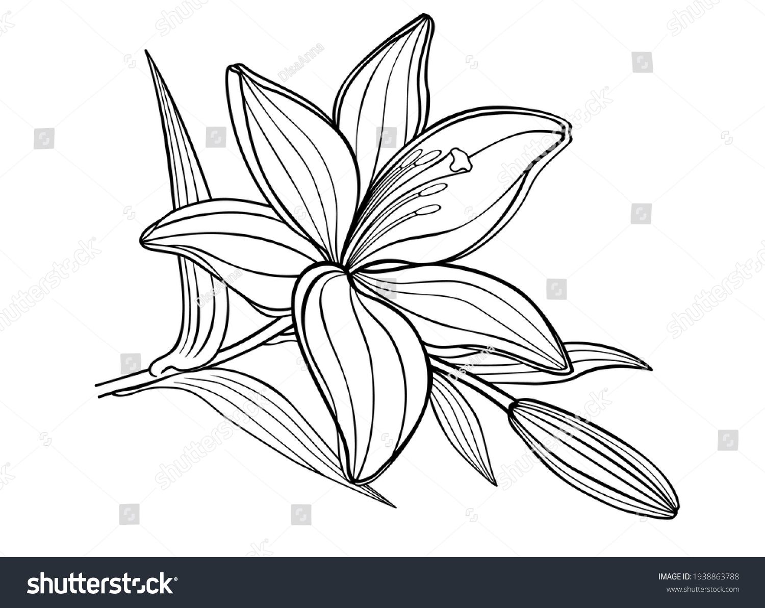 Lily Flower Bud Leaves Vector Linear Stock Vector (Royalty Free ...