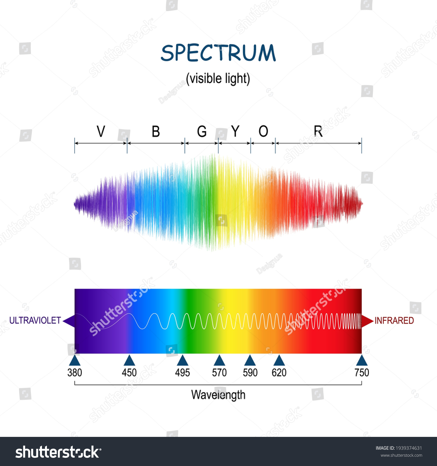 Spectrum Visible Light Vector Diagram Color Stock Vector (Royalty Free ...