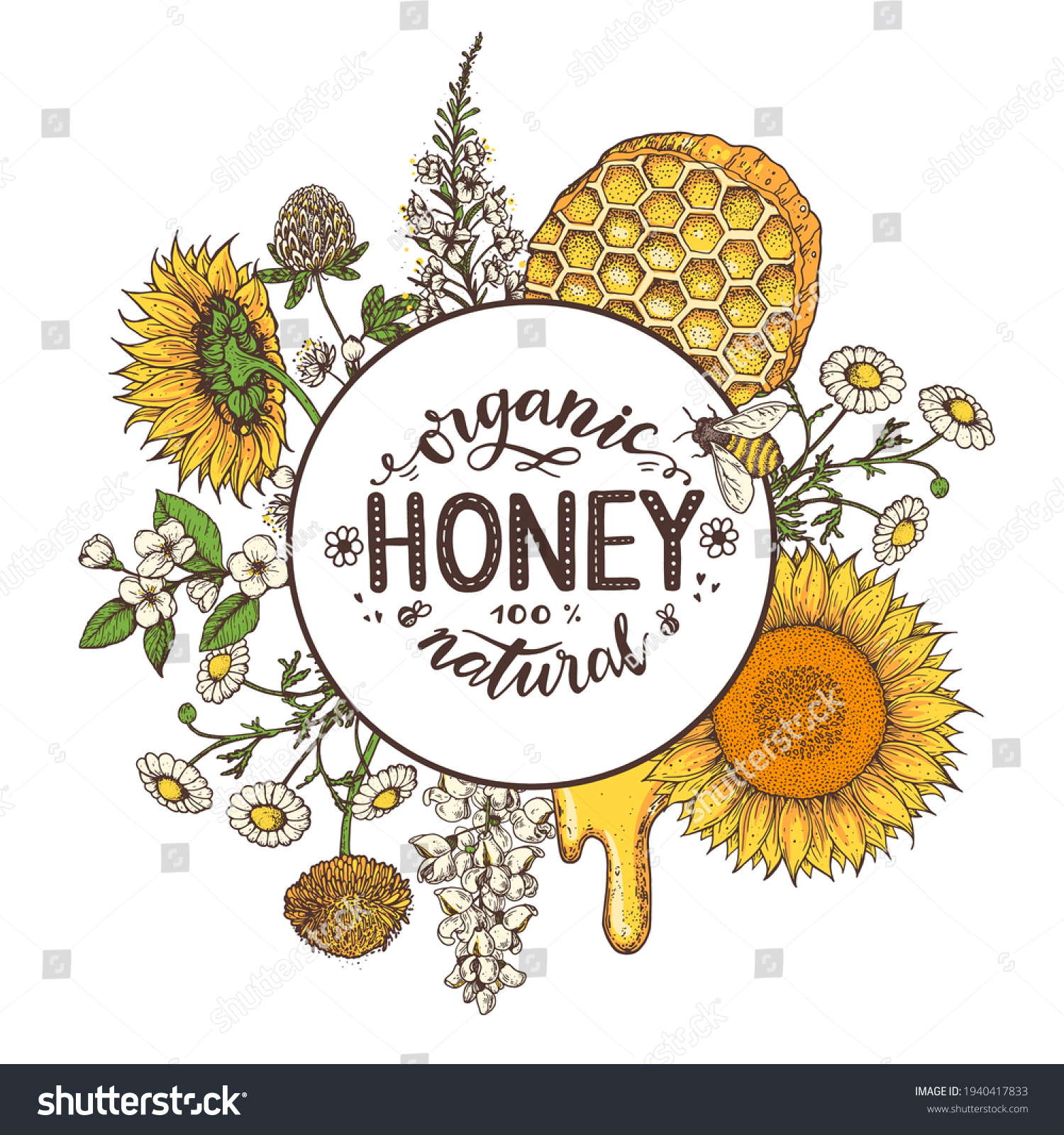 Honey Hand Drawn Vector Illustration Healthy Stock Vector (Royalty Free ...