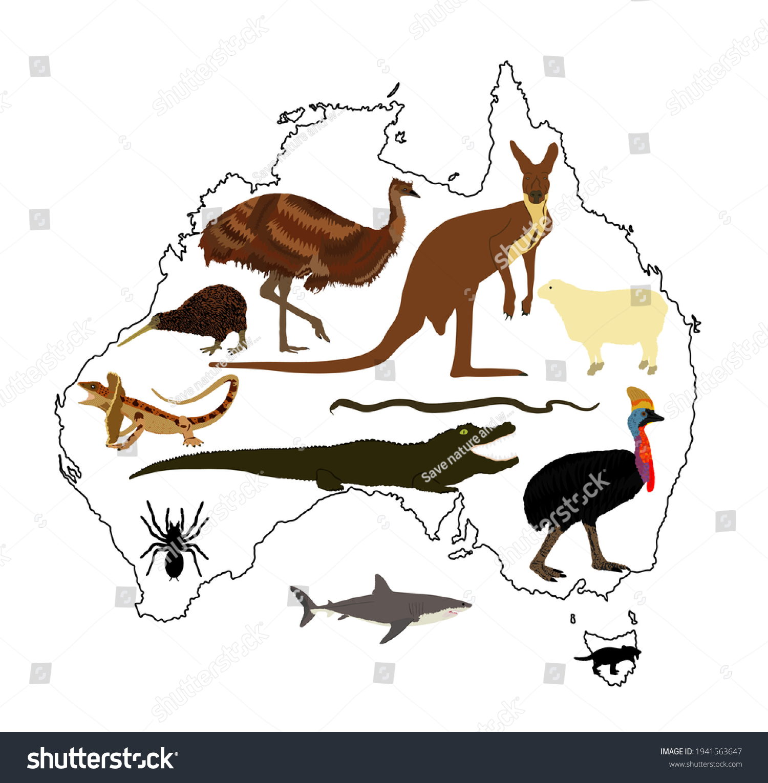 Animals Australia Vector Illustration Collection Australian Stock ...