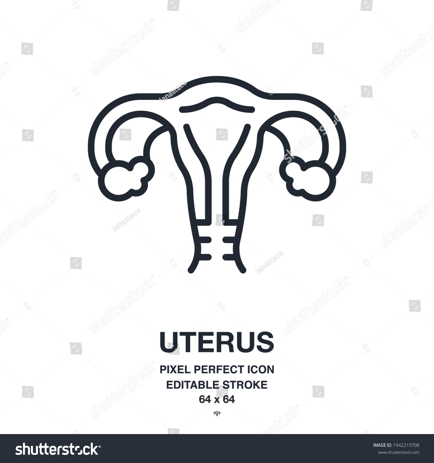 Uterus Female Reproductive System Editable Stroke Stock Vector Royalty Free 1942219708 