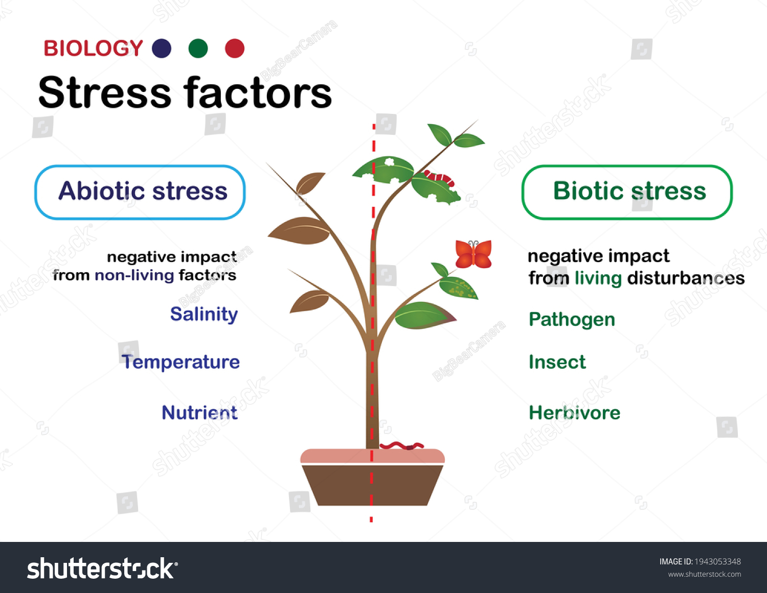 Biology Diagram Explain Stress Factor Biotic เวกเตอร์สต็อก ปลอดค่าลิขสิทธิ์ 1943053348