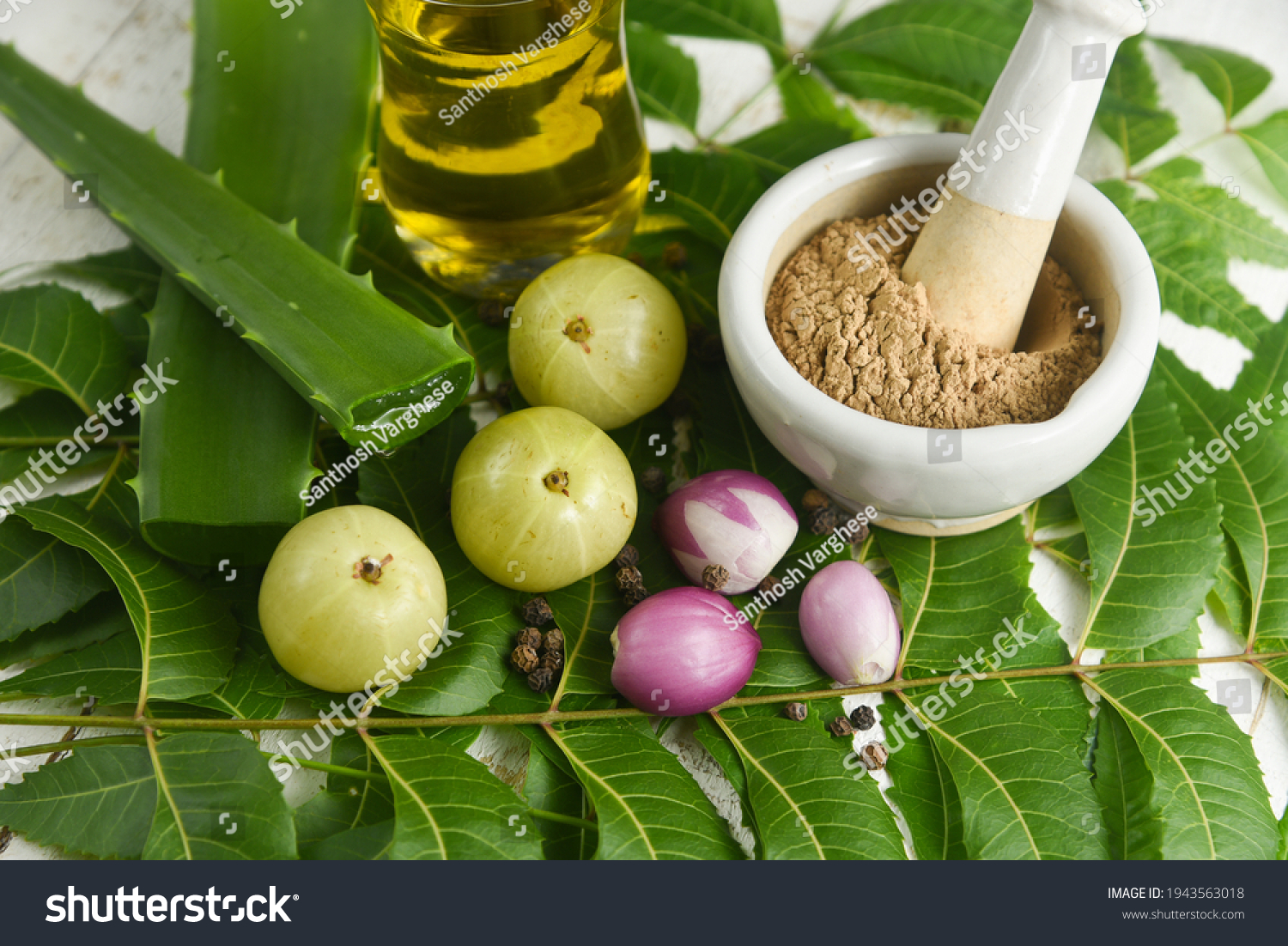 Amla Berry Indian Gooseberry Powder Ayurvedic Stock Photo 1943563018 ...