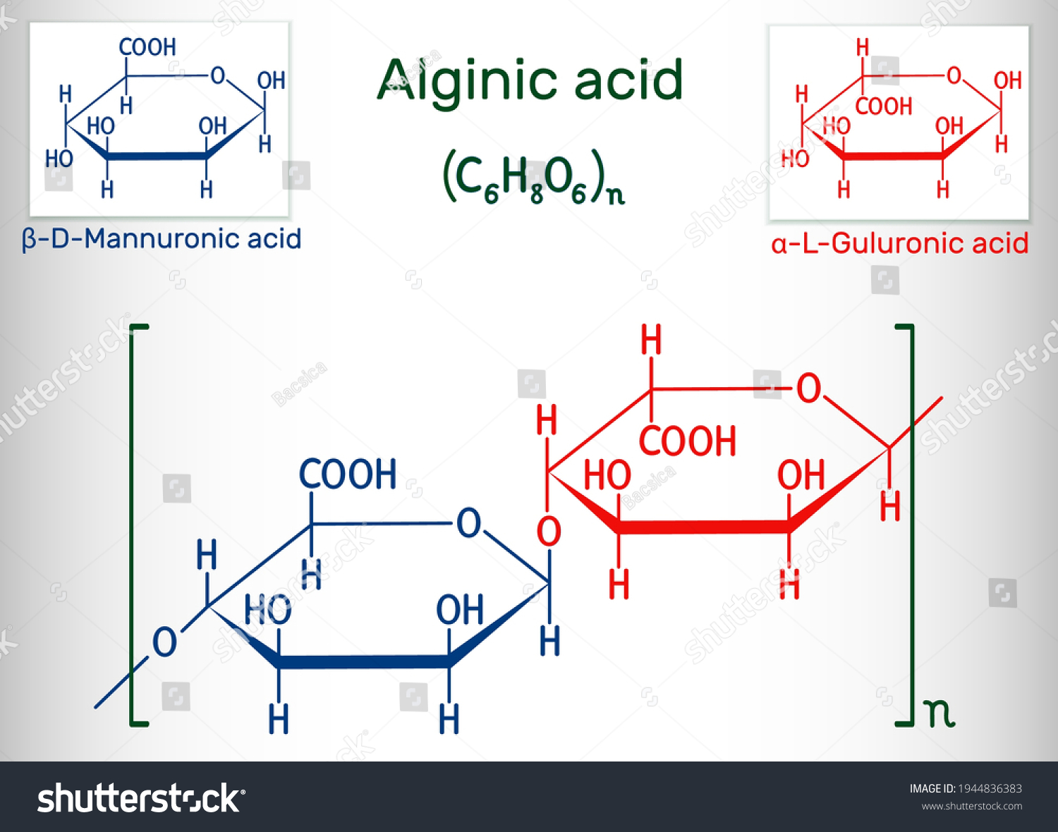 Alginic Acid Align Alginate Molecule Polysaccharide 库存矢量图 免版税 Shutterstock