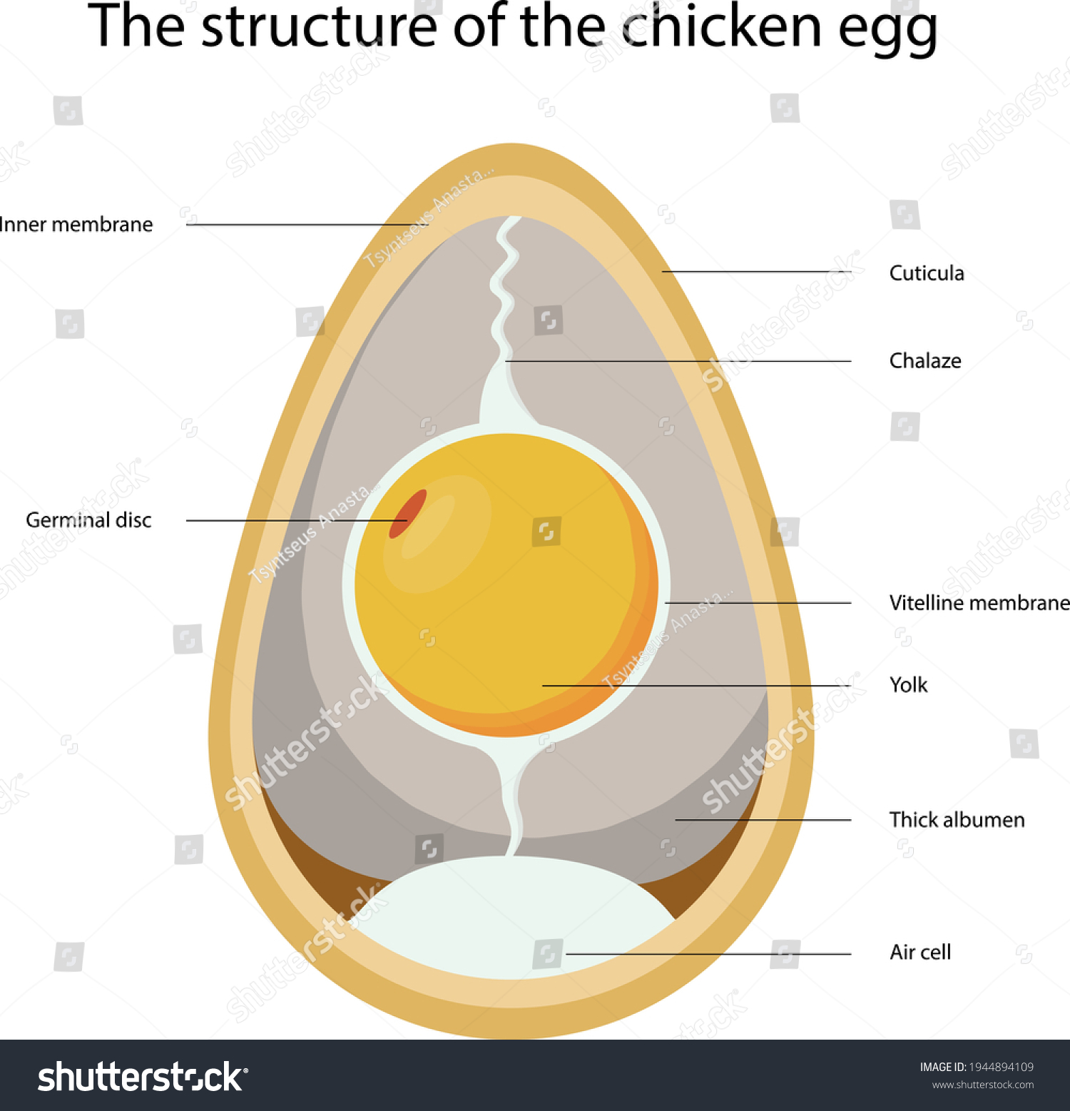 75,617 Bird On Structure Images, Stock Photos & Vectors | Shutterstock