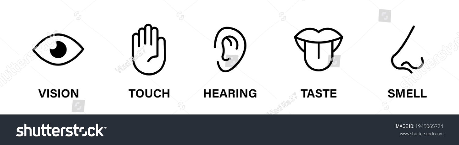 Five Human Senses Flat Vector Icon Stock Vector (Royalty Free ...