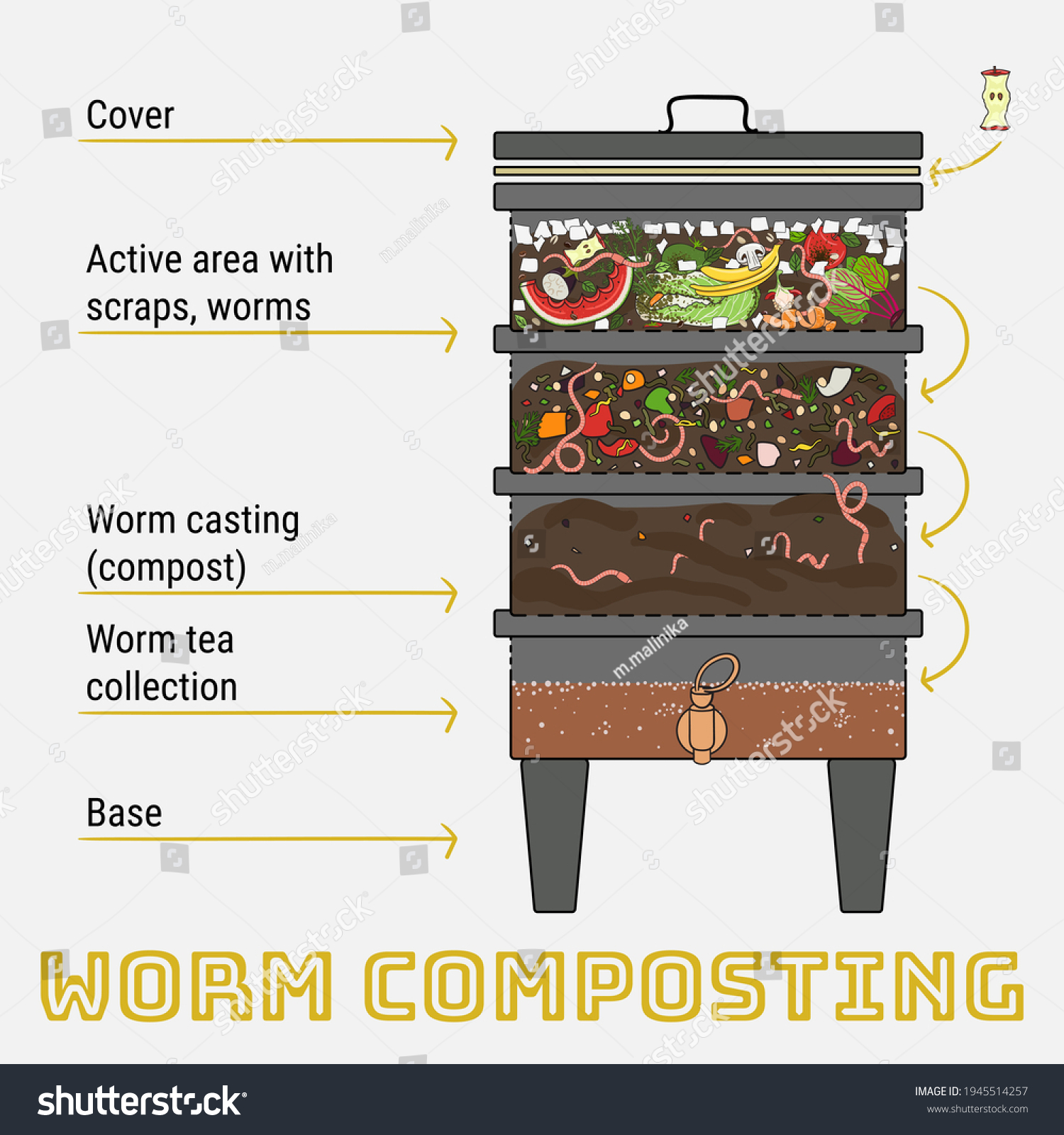 Infographic Vermicomposting Components Vermicomposter Vermicomposter   Stock Vector Infographic Of Vermicomposting Components Of Vermicomposter Vermicomposter Schematic Design Worm 1945514257 