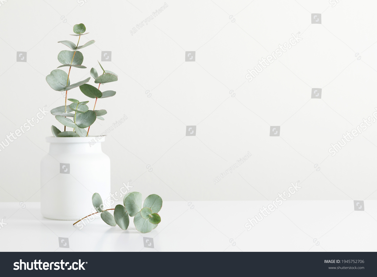 Green Eucalyptus Leaves Vase On White Stock Photo 1945752706 | Shutterstock