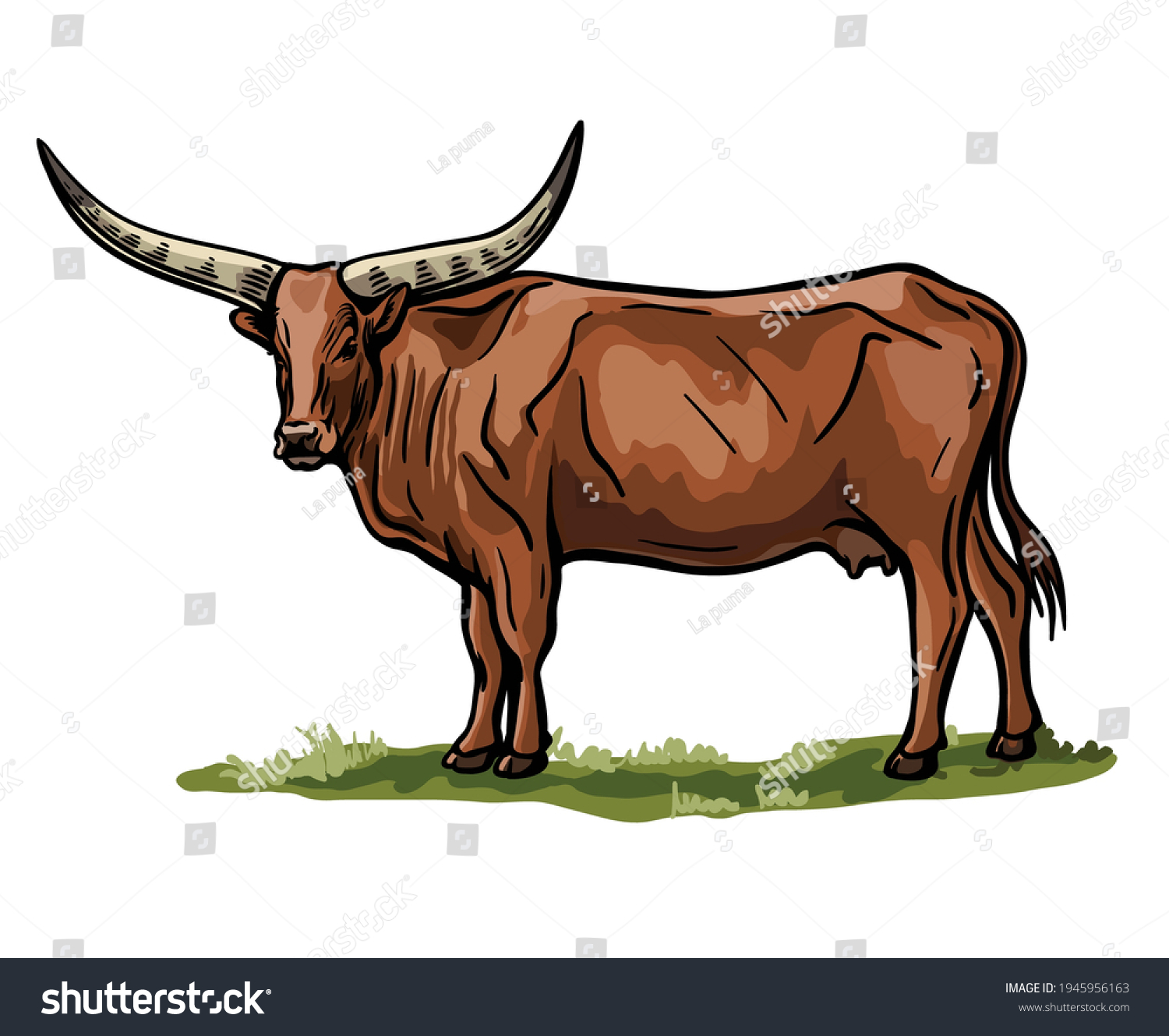 Breeding Cattle Grazing Cow Vector Illustration 库存矢量图（免版税）1945956163 ...