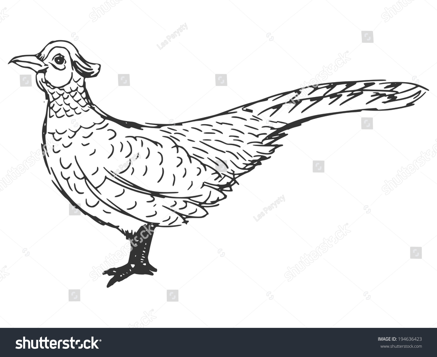 Трафарет фазан