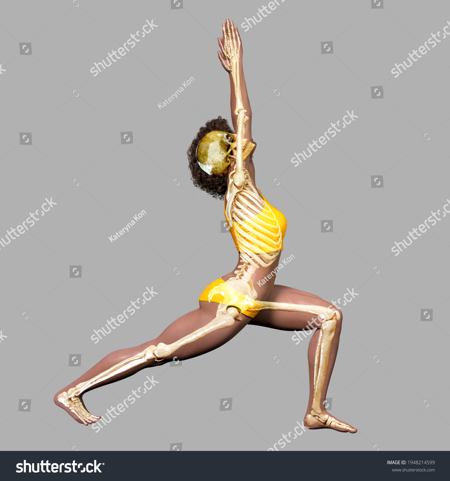 Anatomy Warrior 1 Pose Virabhadrasana 1 Stock Illustration 1948214599 ...