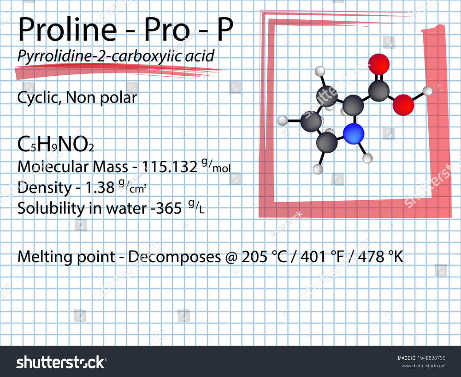 Proline Pro P Amino Acid Molecular Stock Vector Royalty Free 1948828795 Shutterstock 0337