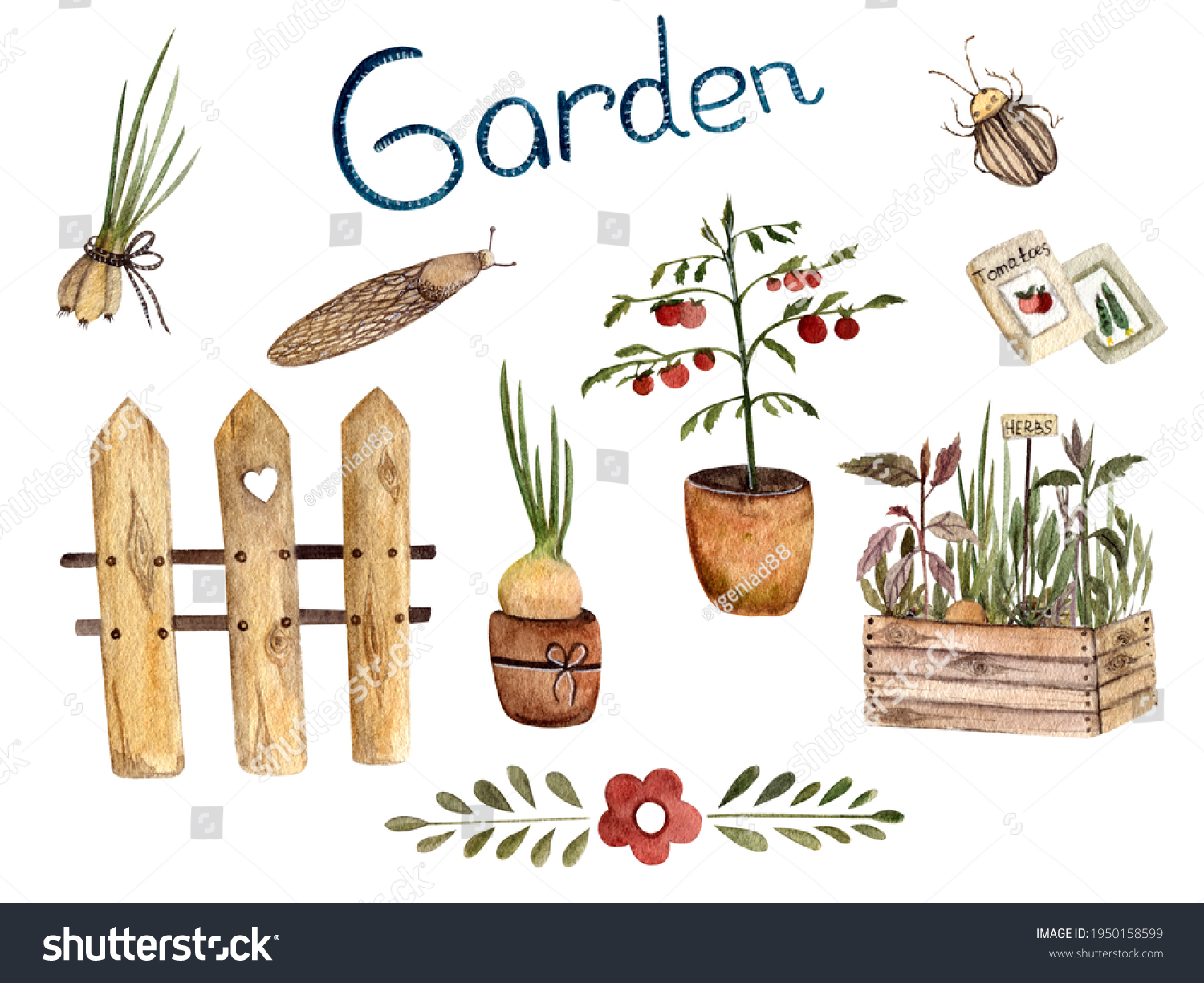 Watercolour Illustration Set Vegetable Garden Spring Stock Illustration ...