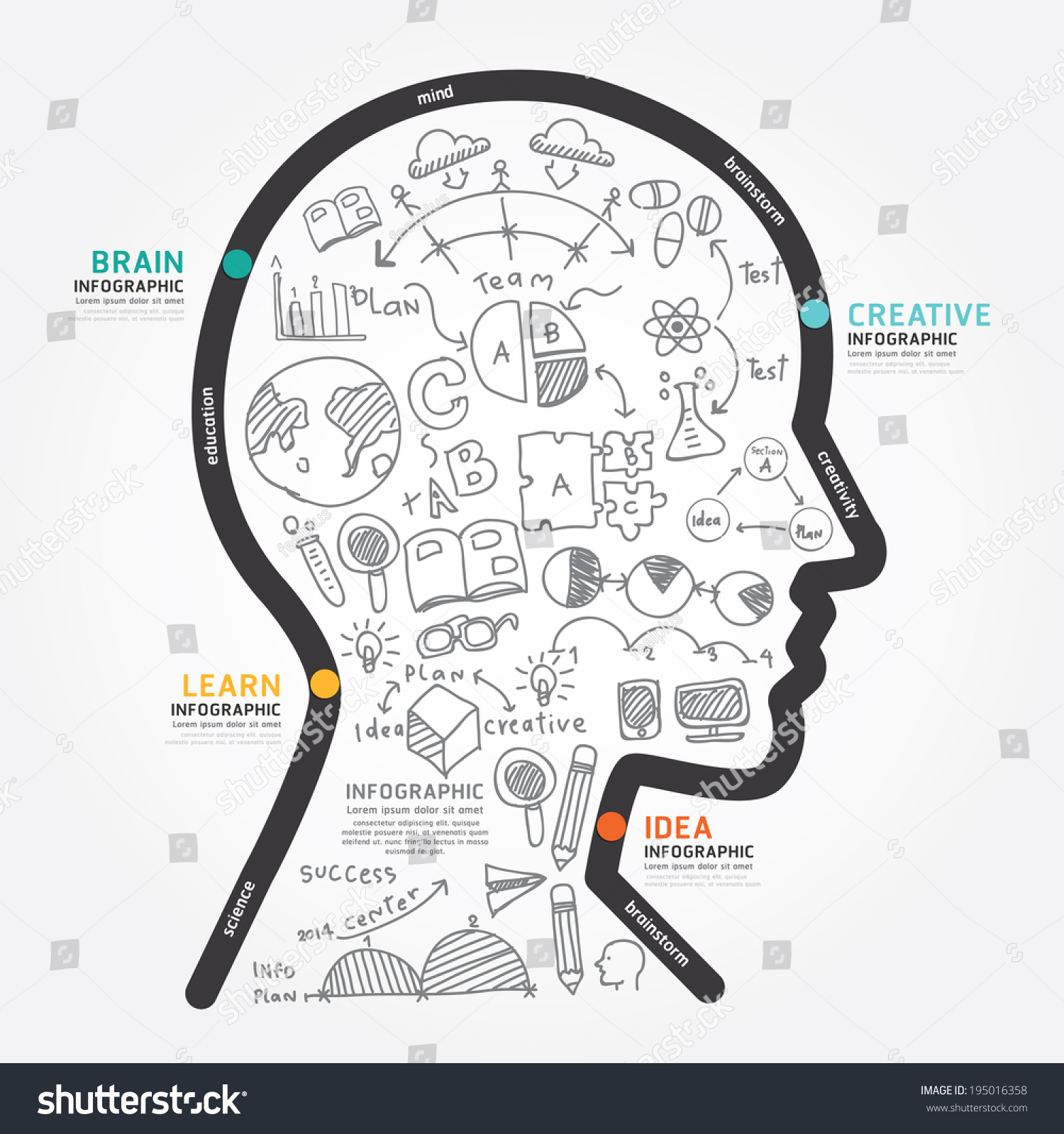 Infographics Vector Head Design Diagram Line Stock Vector (Royalty Free ...