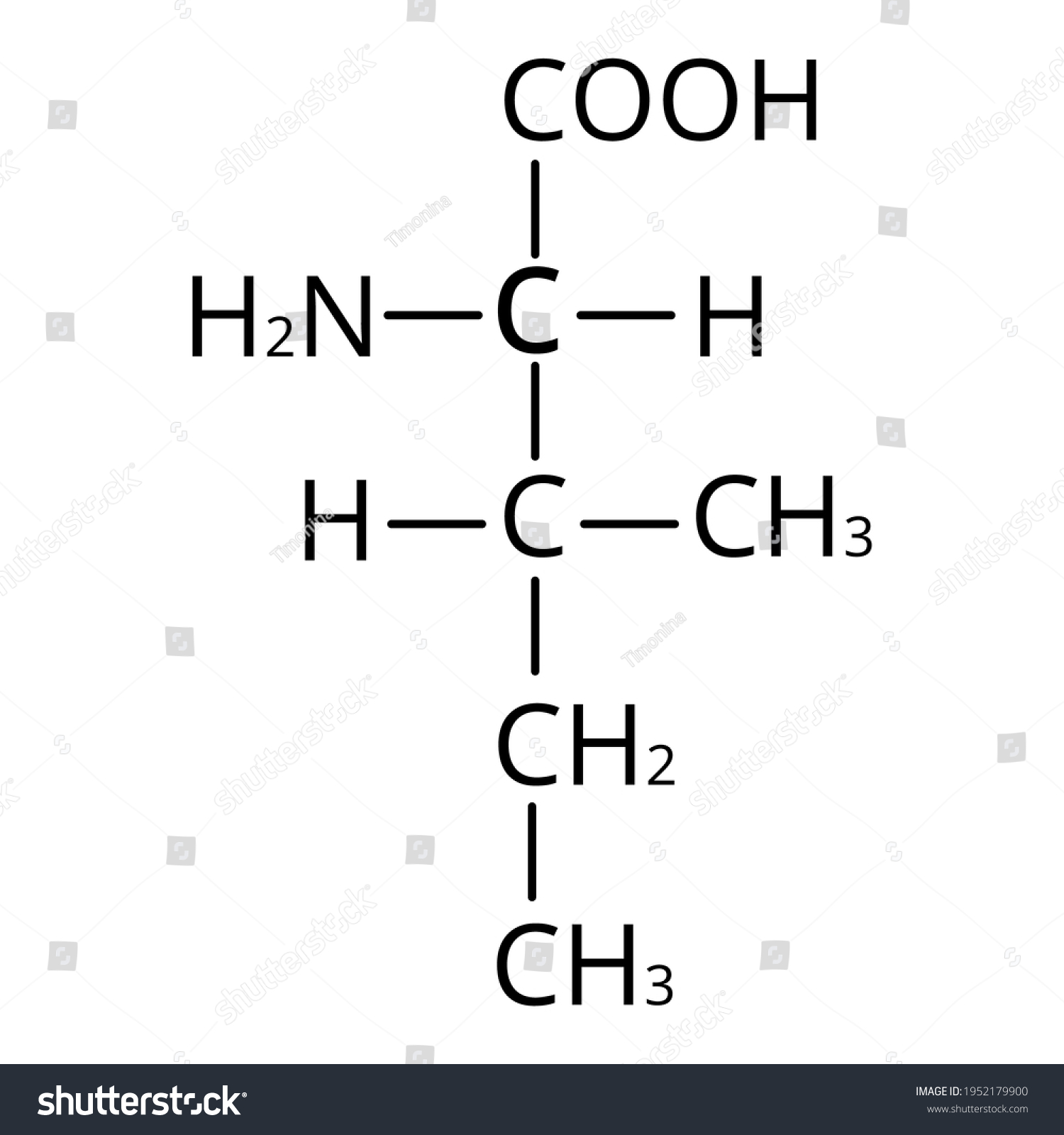 Isoleucine Amino Acid Chemical Molecular Formula Stock Vector (Royalty ...