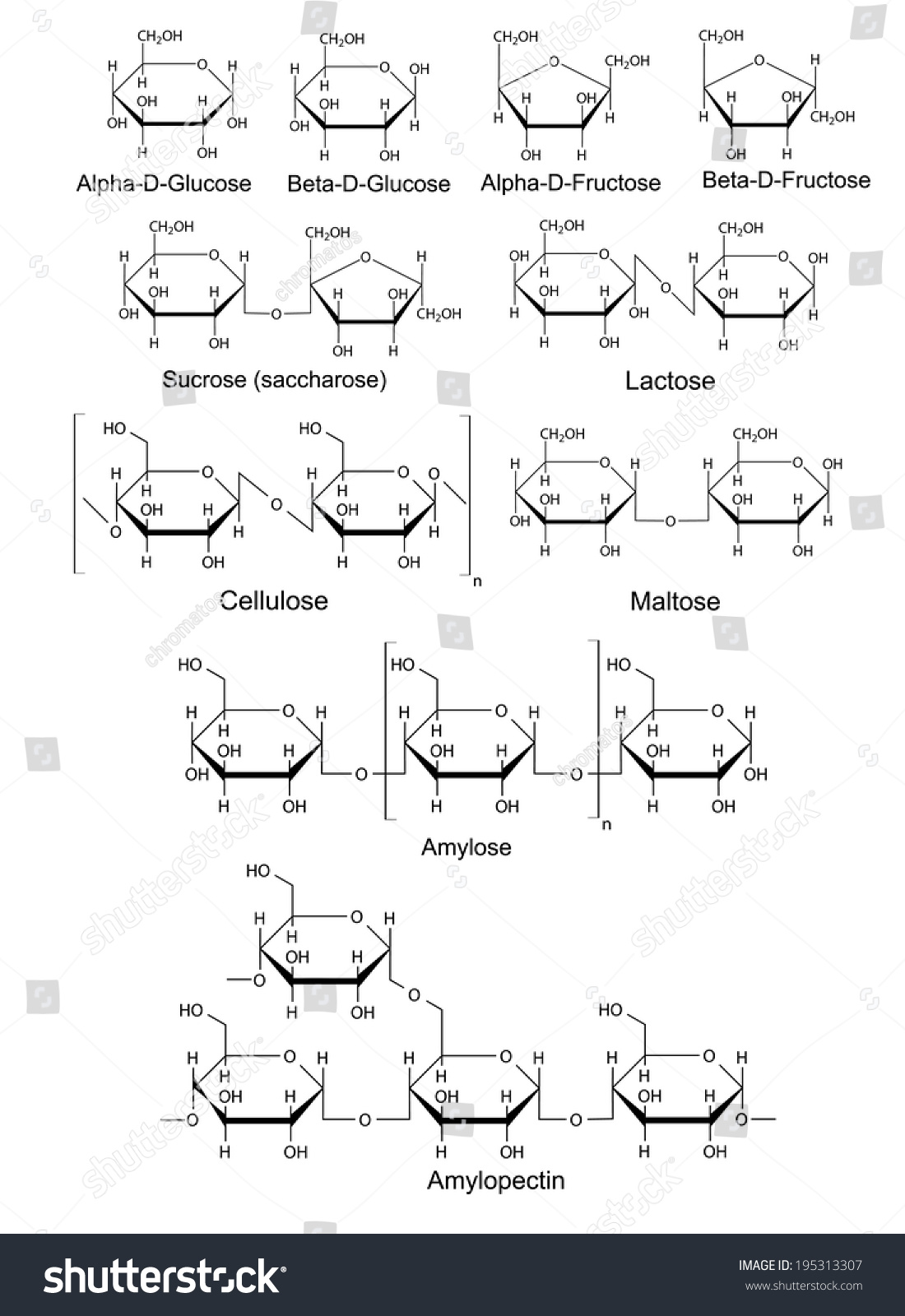 Chemical Structural Formulas Basic Carbohydrates Glucose Stock ...