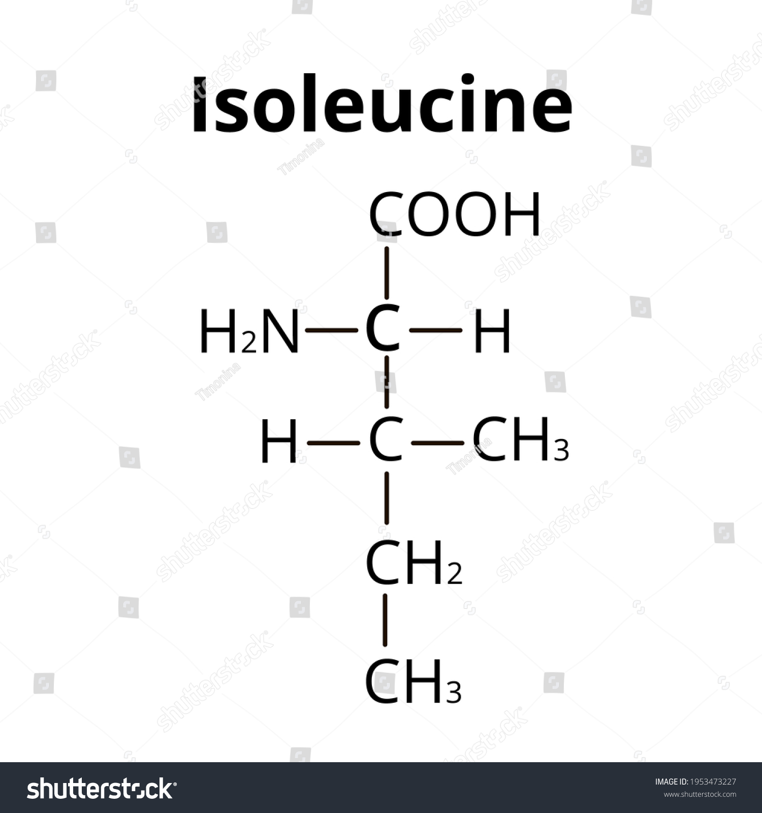 Isoleucine Amino Acid Chemical Molecular Formula Stock Illustration ...