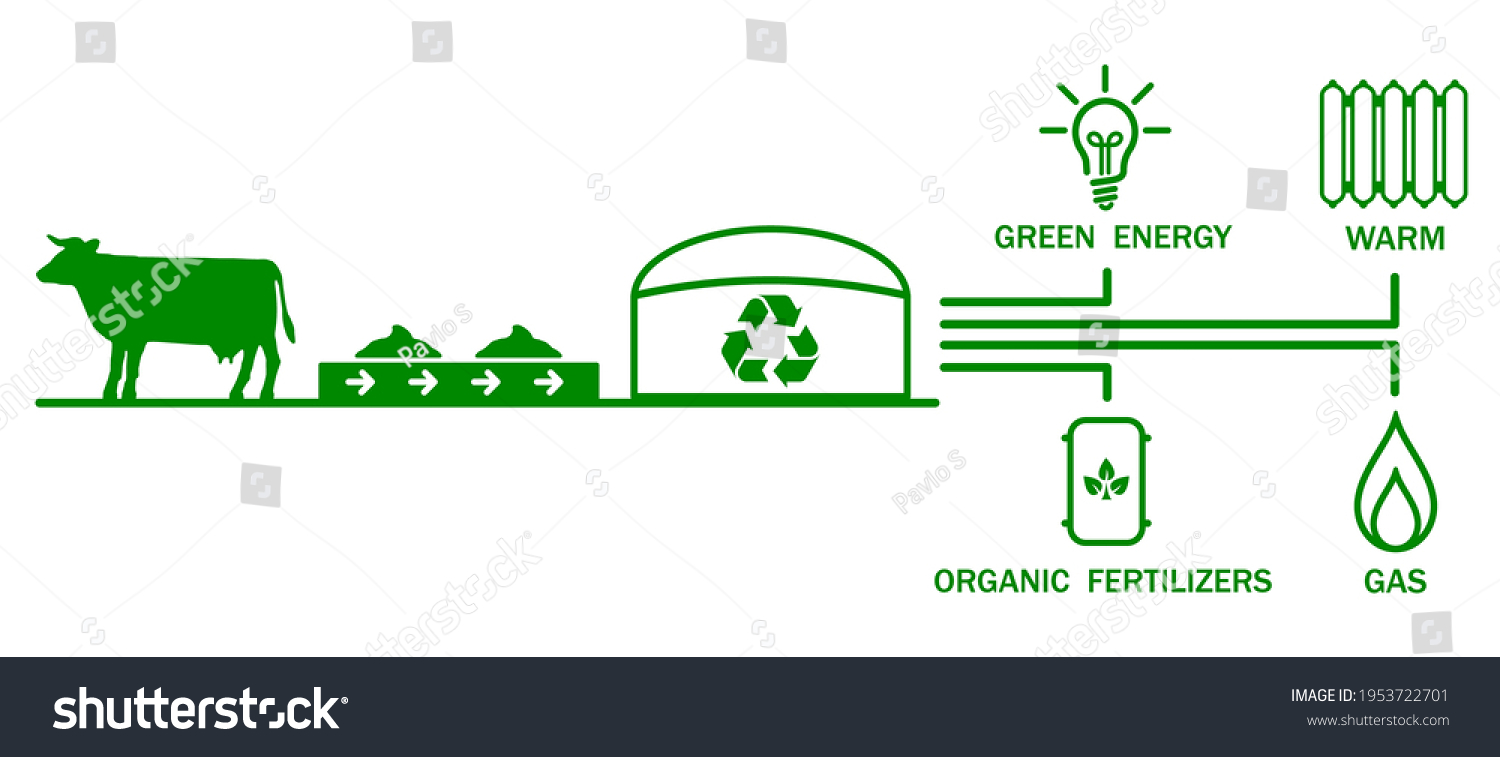 recycling-animal-waste-transformation-waste-into-stock-vector-royalty