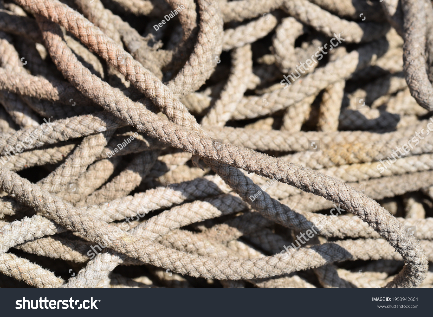 Close Top View Loose Pile Used Stock Photo 1953942664 | Shutterstock