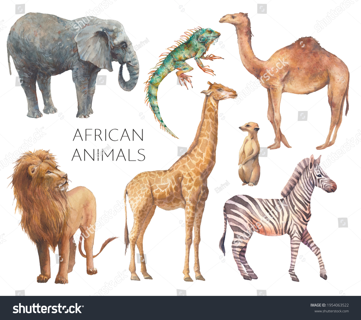 845,640 Safari mammal Images, Stock Photos & Vectors | Shutterstock