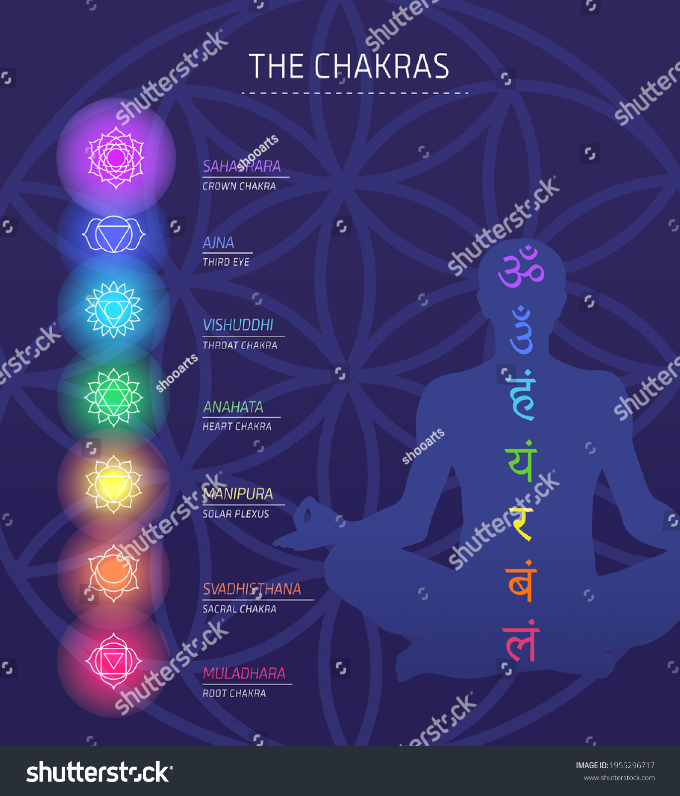 Chakras Energy Lotus Pose Human Vector Stock Vector Royalty Free 1955296717 Shutterstock 