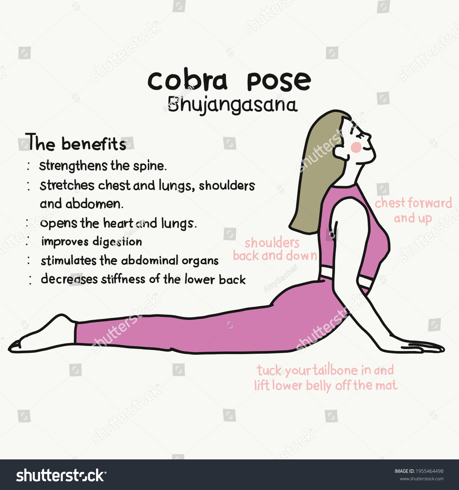 Cobra Pose Yoga Pose Benefits Cartoon Stock Vector (Royalty Free ...