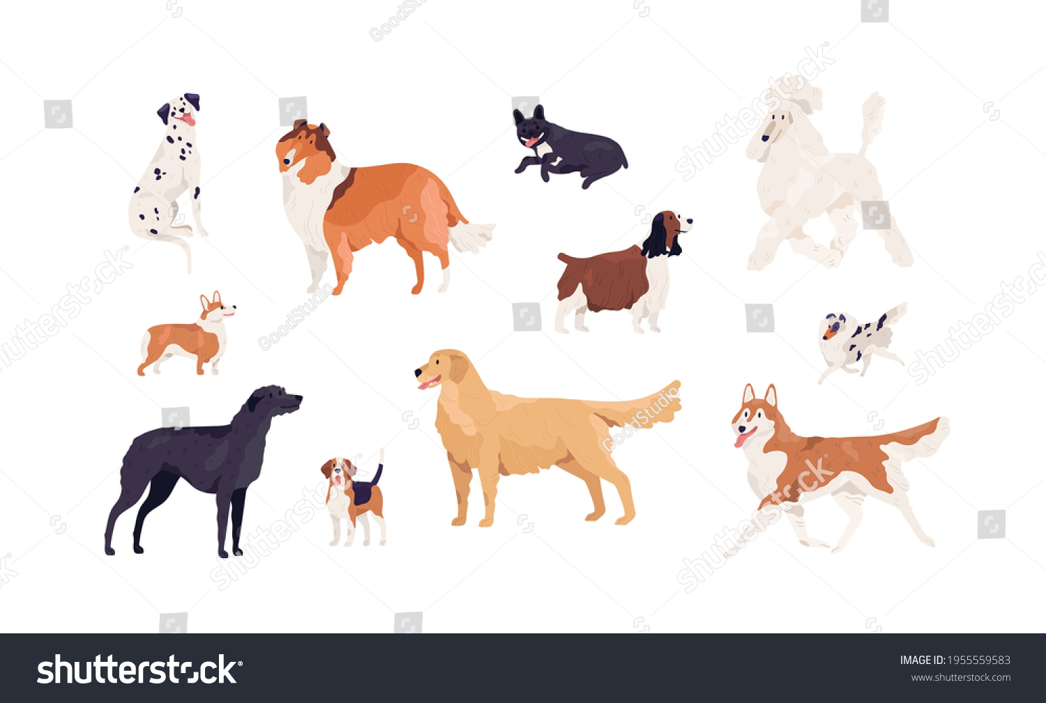 Dogs Different Canine Breeds Isolated On Stock Vector (Royalty Free ...