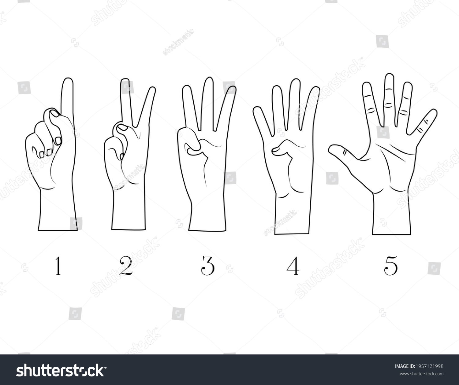 Set Fingers First Second Third Fourth Stock Vector (Royalty Free ...