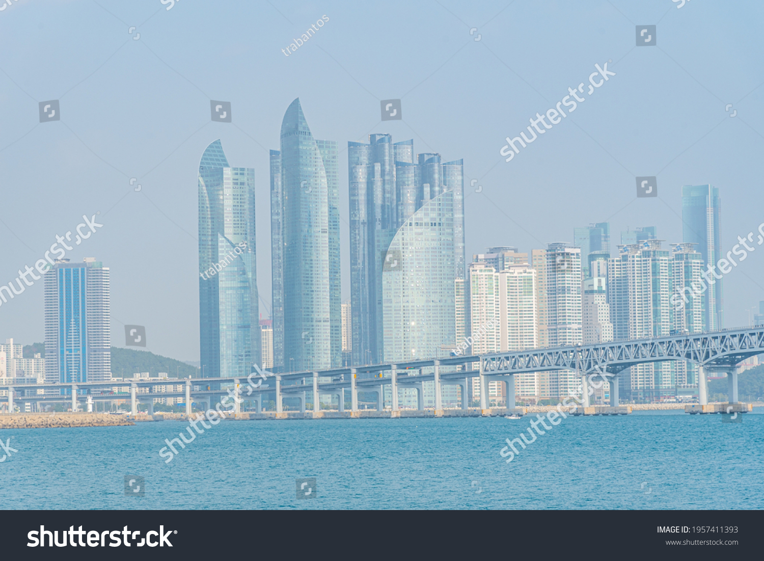 879 Busan bridge panorama 이미지, 스톡 사진 및 벡터 | Shutterstock