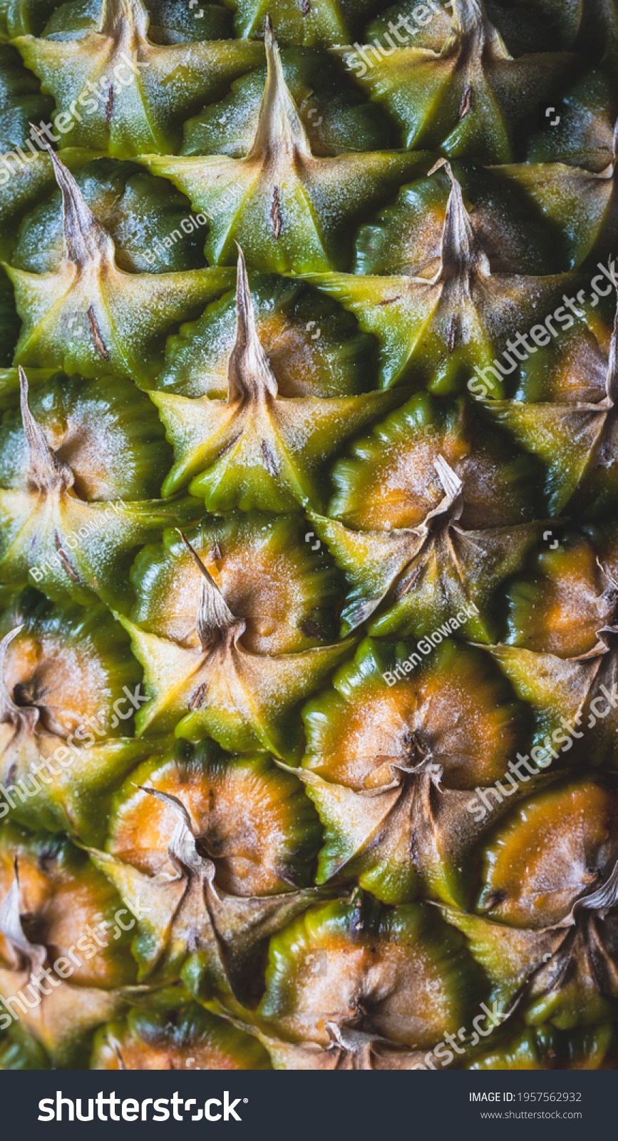 Close Image Pineapple Showing Texture Rough Stock Photo Shutterstock