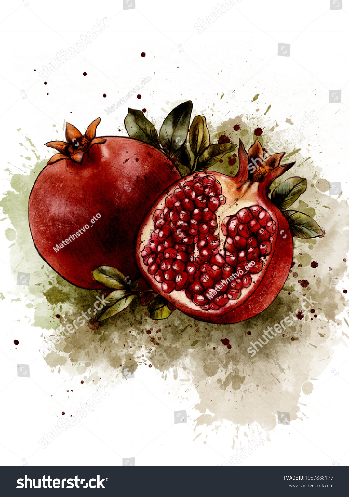 Pomegranate Art Print Fruit Watercolor Painting Stock Illustration