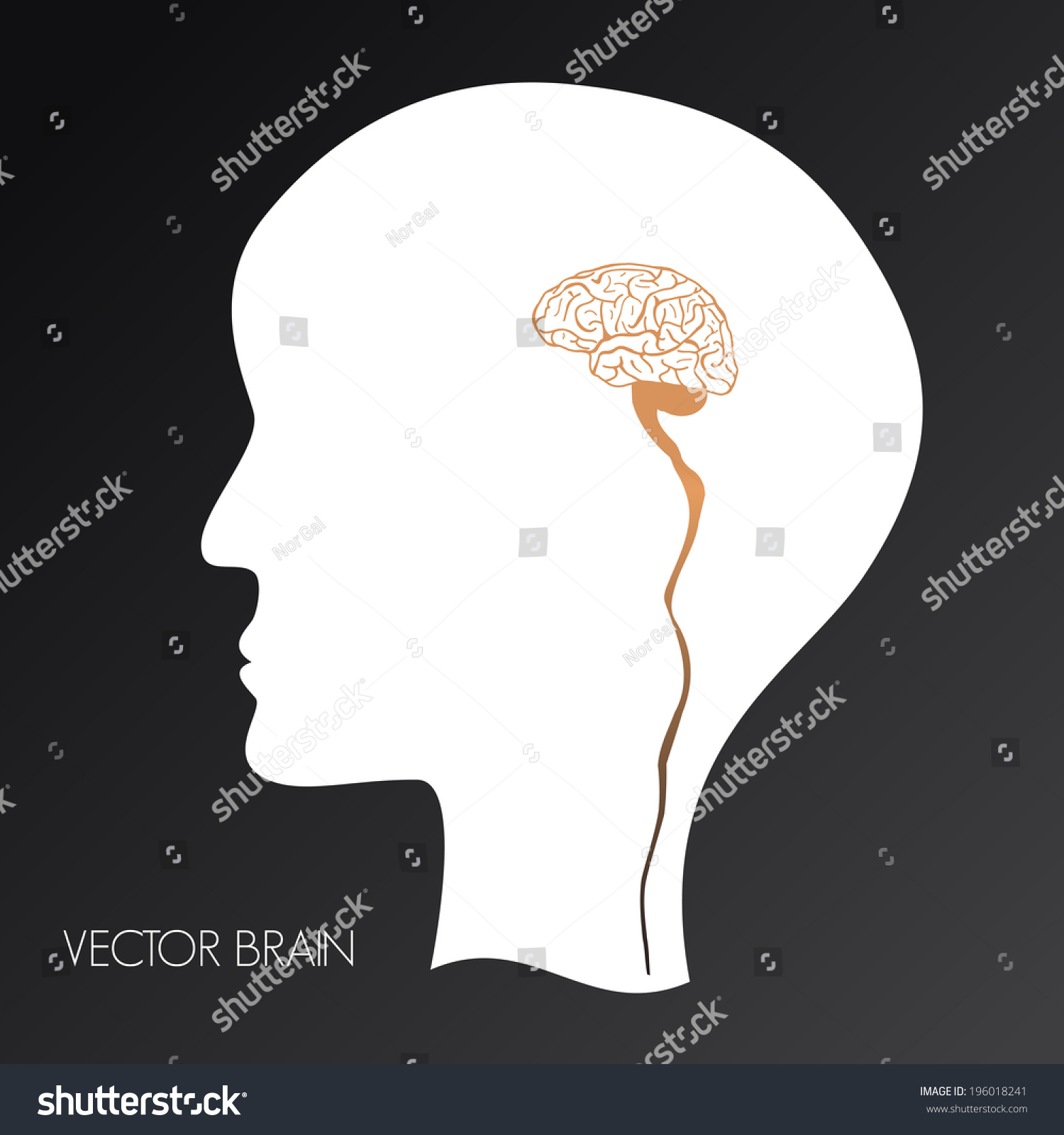 Illustration Small Human Brain Inside Head Stock Vector (Royalty Free ...