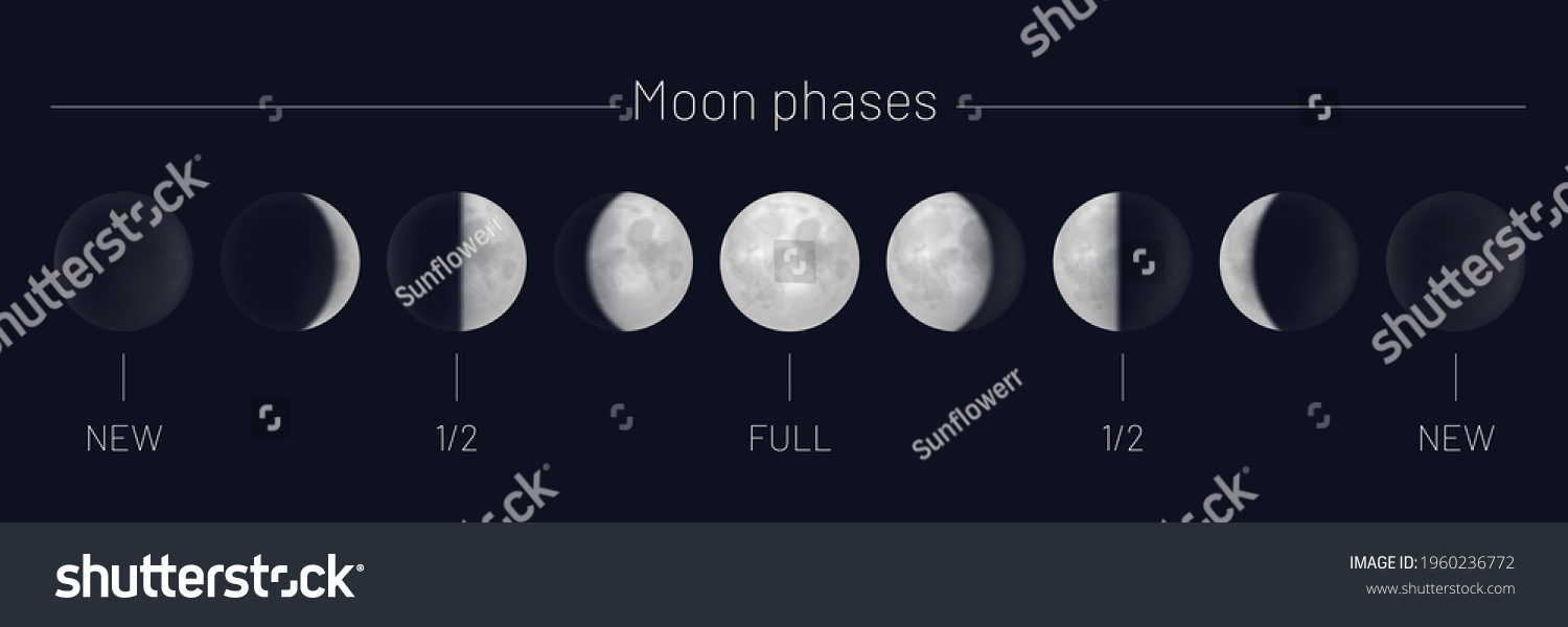 Moon Phases Whole Cycle On Night Stock Vector Royalty Free 1960236772 Moon Phases Whole Cycle On Night Stock Vector Royalty Free 1960236772