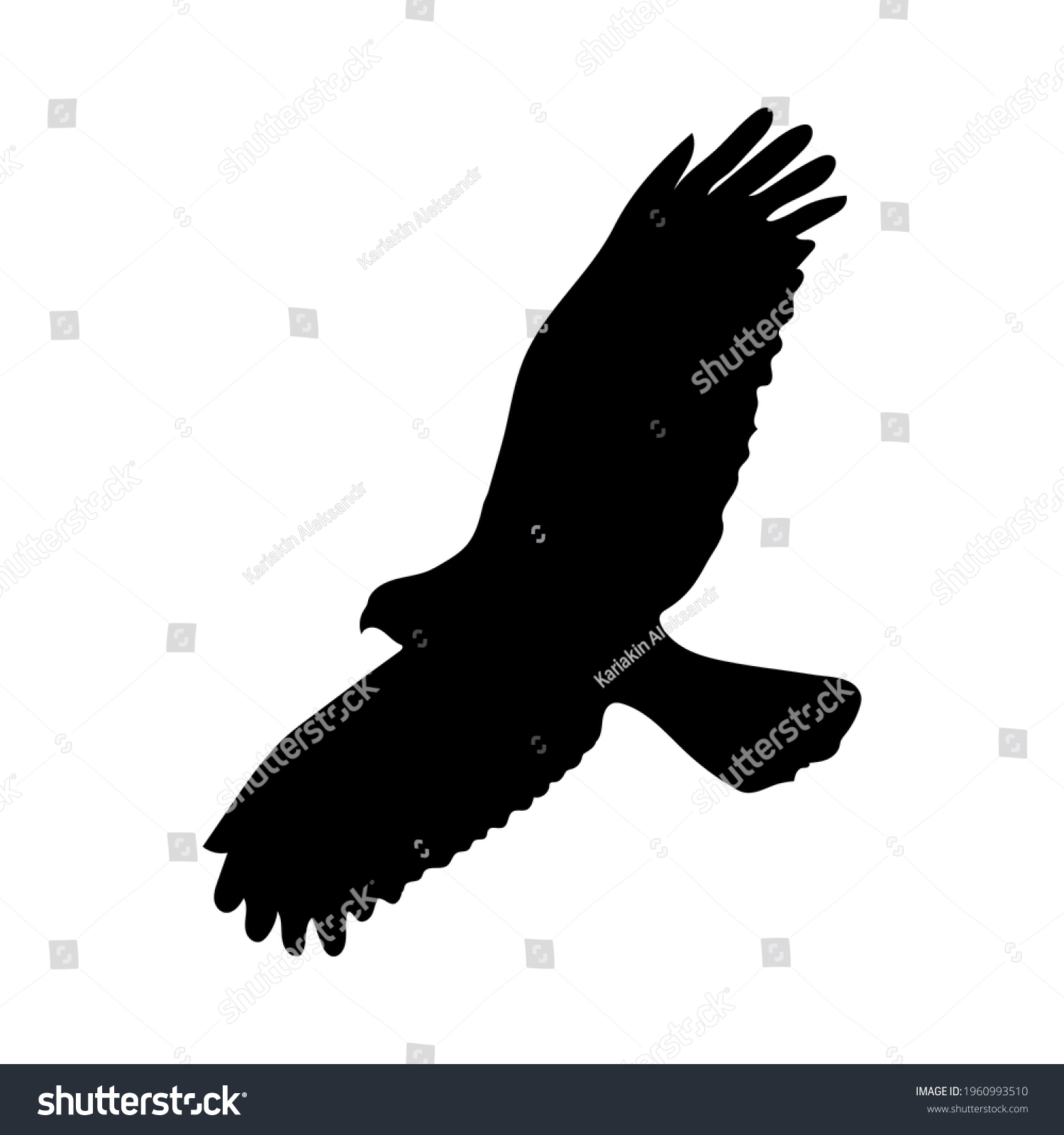 Eagle Silhouette Drawing Vector Illustration Stock Vector (Royalty Free ...