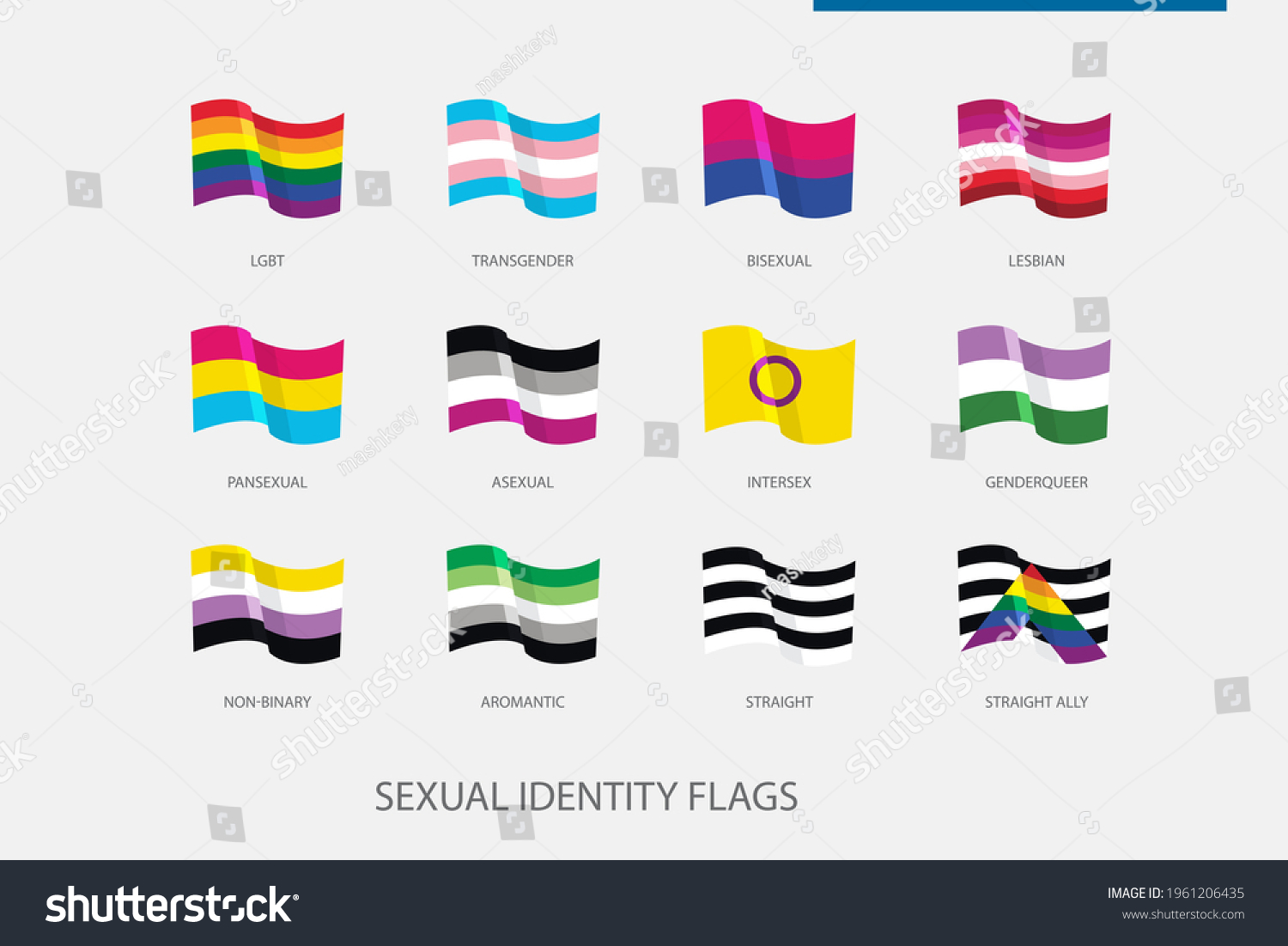 Flags Set Sexual Identity Pride Flag Shutterstock