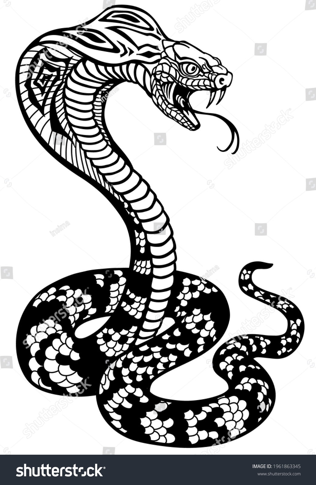 Cobra Poisonous Snake Defensive Position Attacking Stock Vector ...