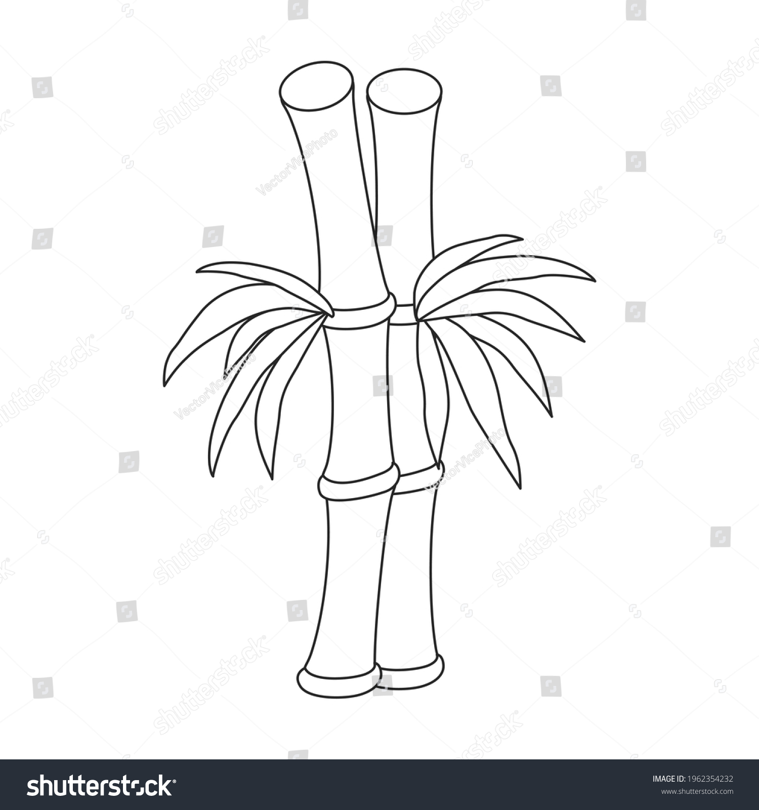 Bamboo Vector Outline Icon Vector Illustration Stock Vector (Royalty ...