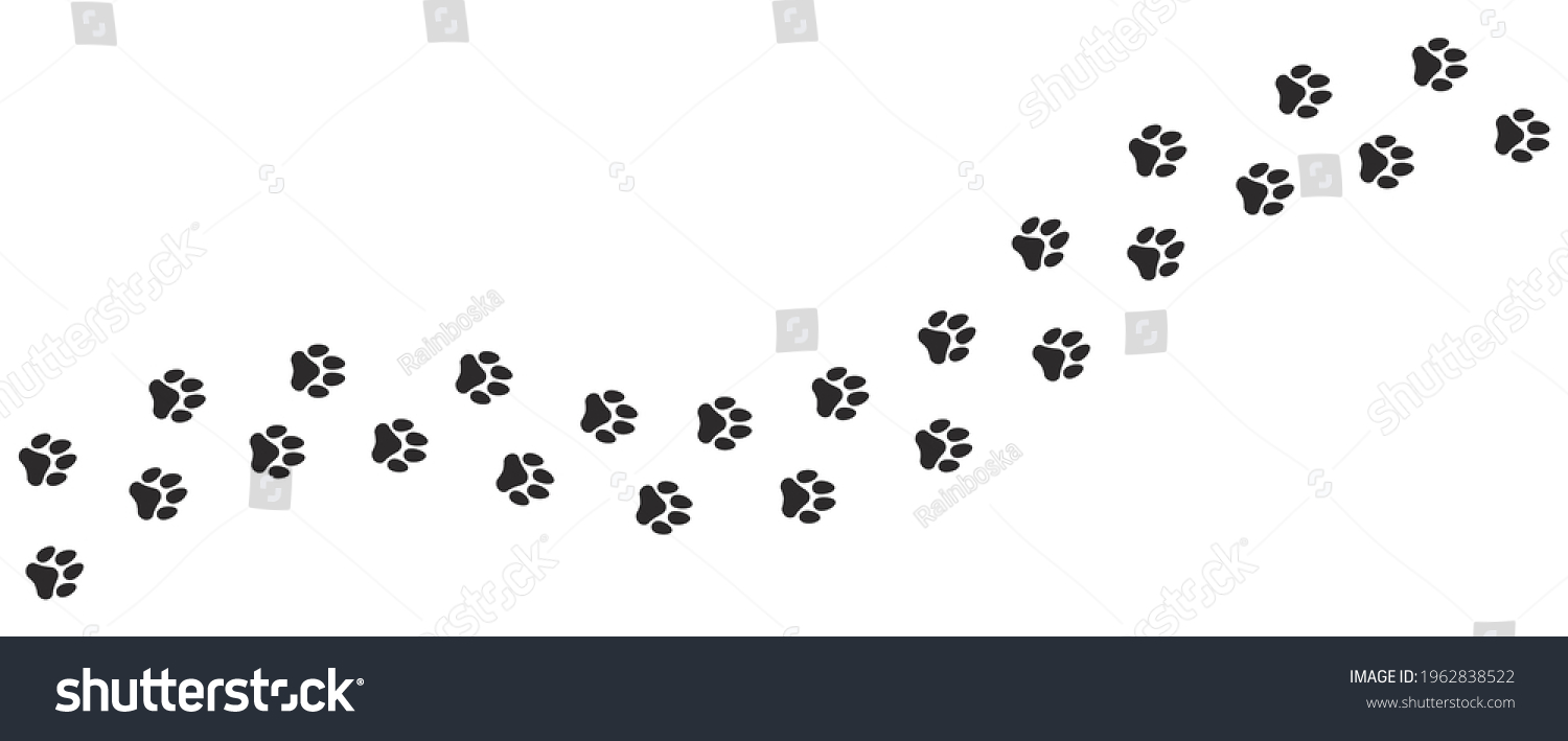 Foot Trail Dog Vector Design Dog Stock Vector (Royalty Free) 1962838522 ...