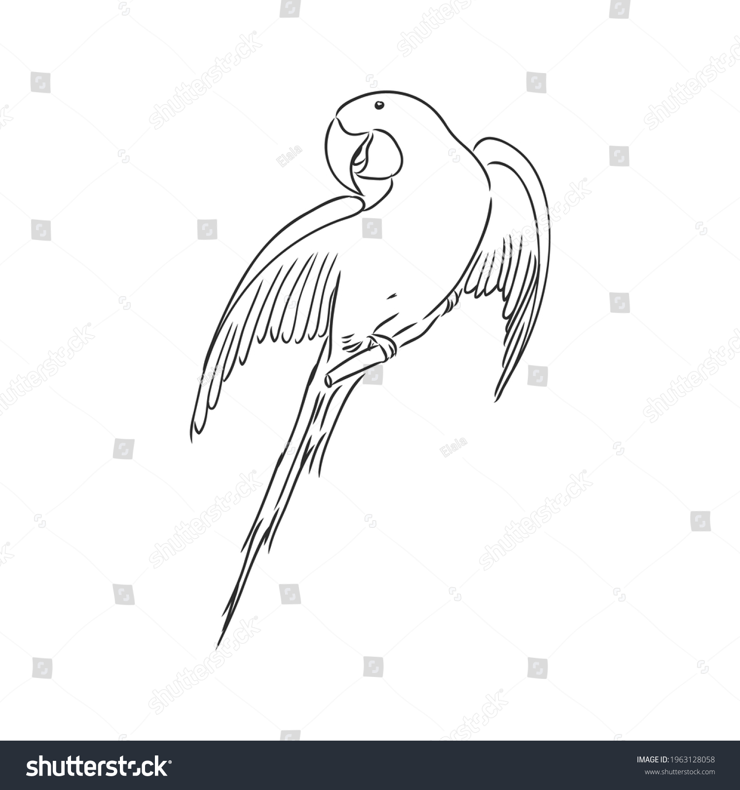 Vector Cockatoo Silhouette Isolated On White Stock Vector (Royalty Free ...