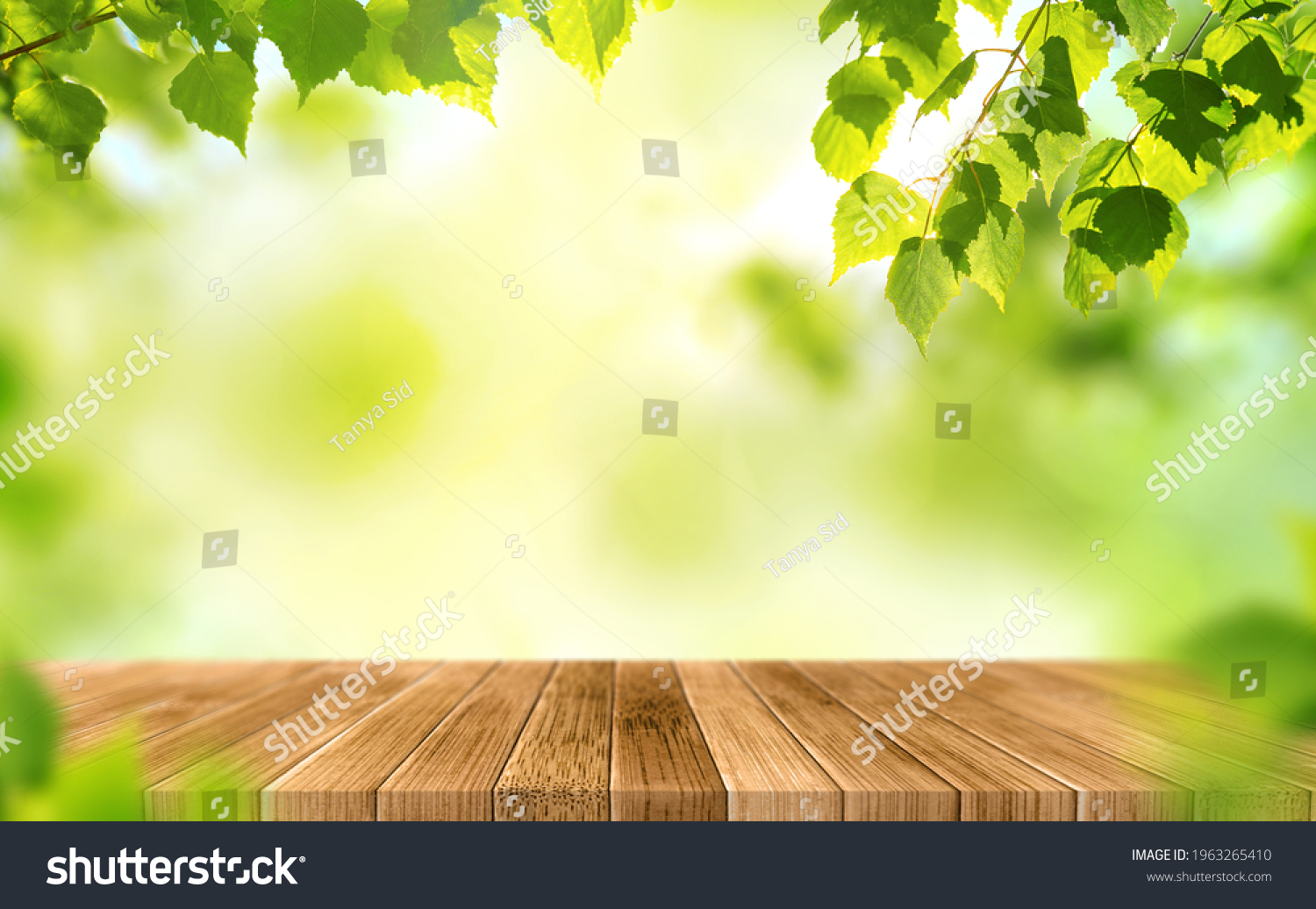 Empty Wooden Table On Blurred Green Stock Photo Shutterstock