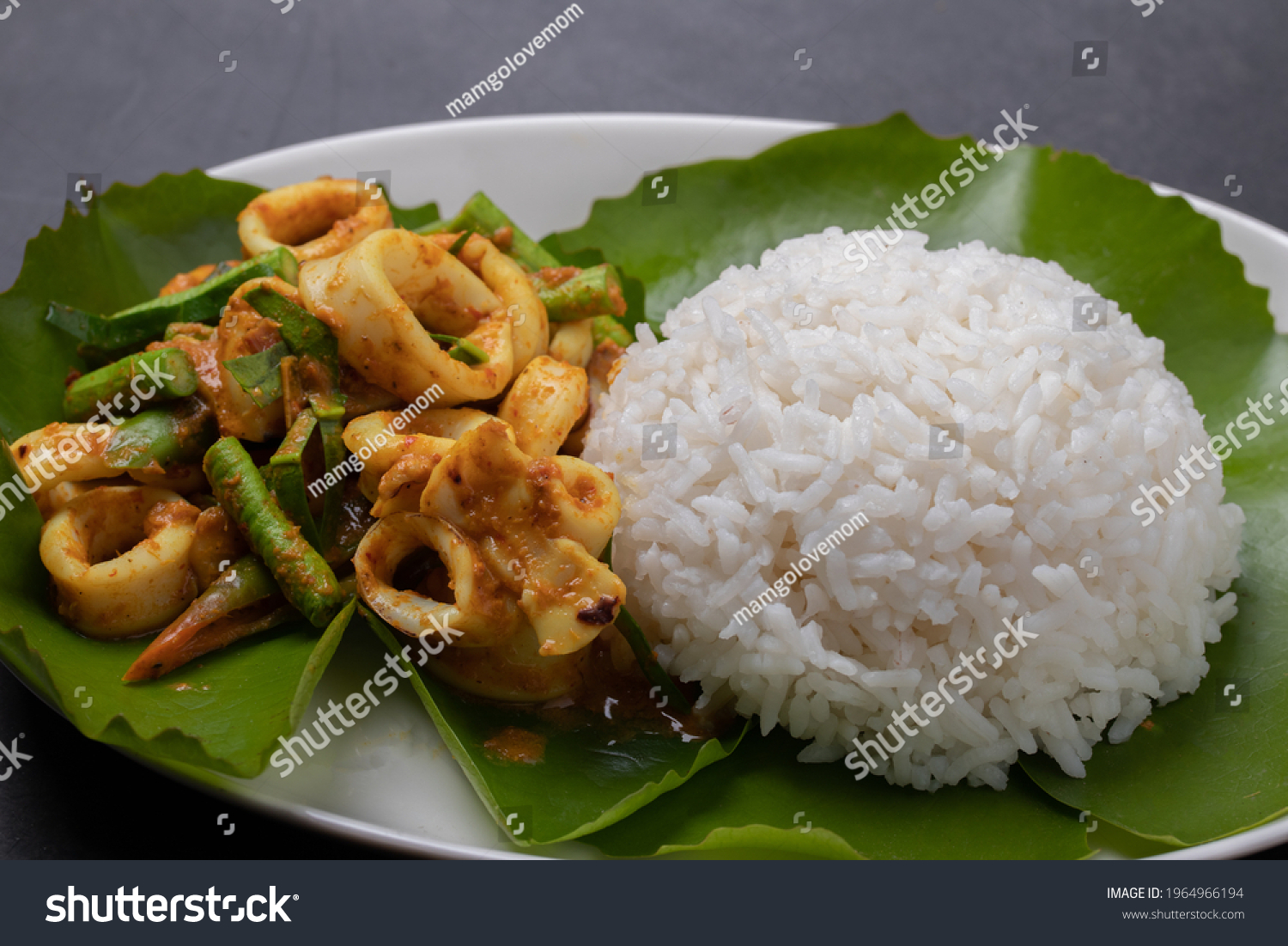 6,199 Squid Curry Images, Stock Photos & Vectors | Shutterstock