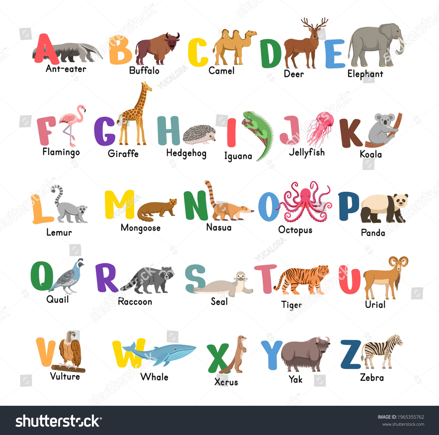 Alphabet Animalsisolated Capital Letters Related Animals Stock Vector ...