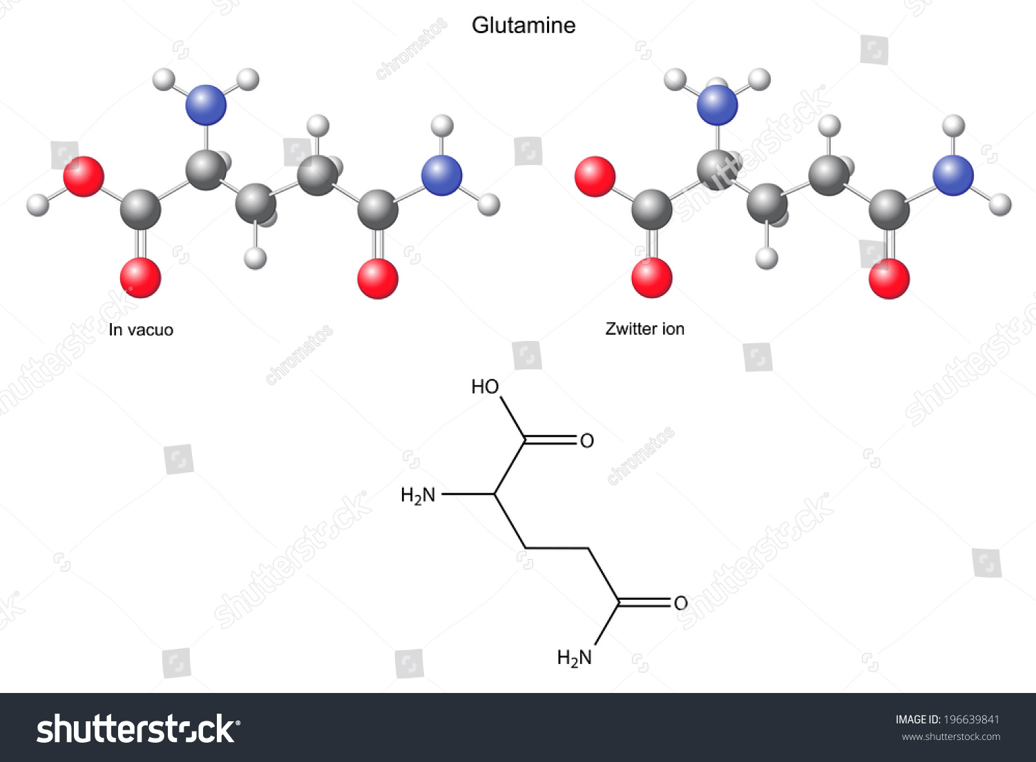 Glutamine Gln Chemical Structural Formula Models Stock Illustration ...