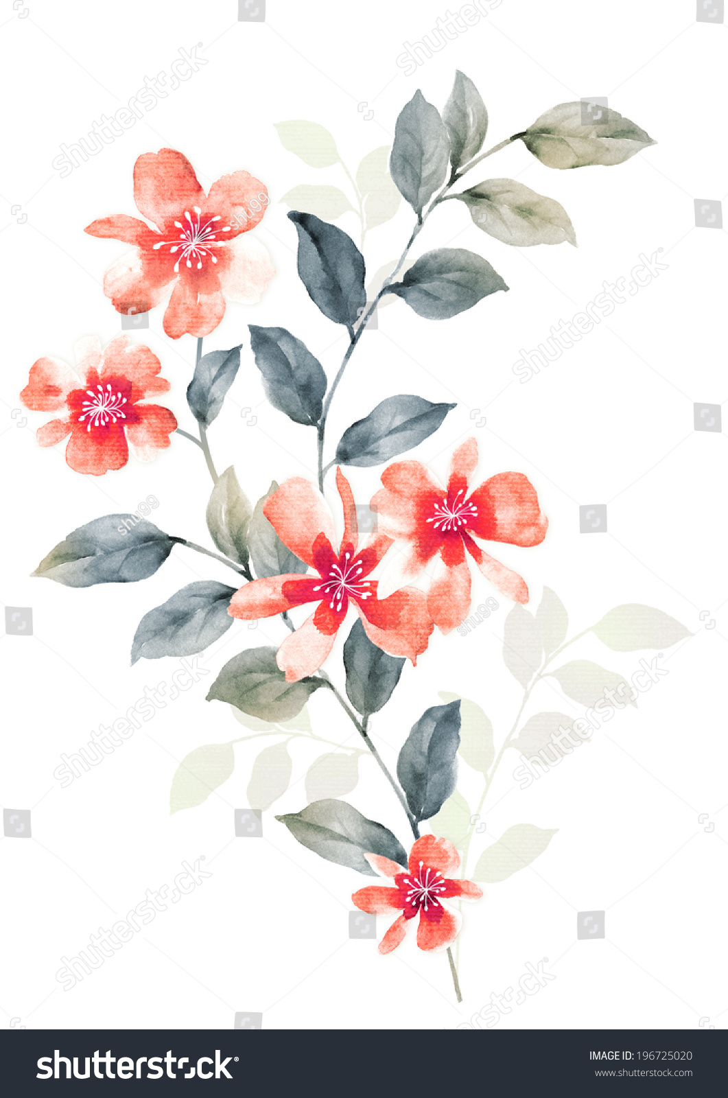 Watercolor Illustration Flowers Simple Background Stock Illustration ...