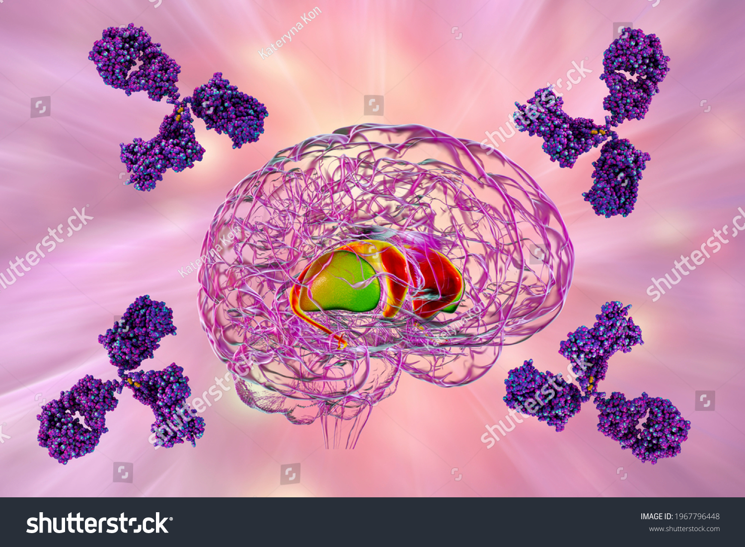 polar nuclei