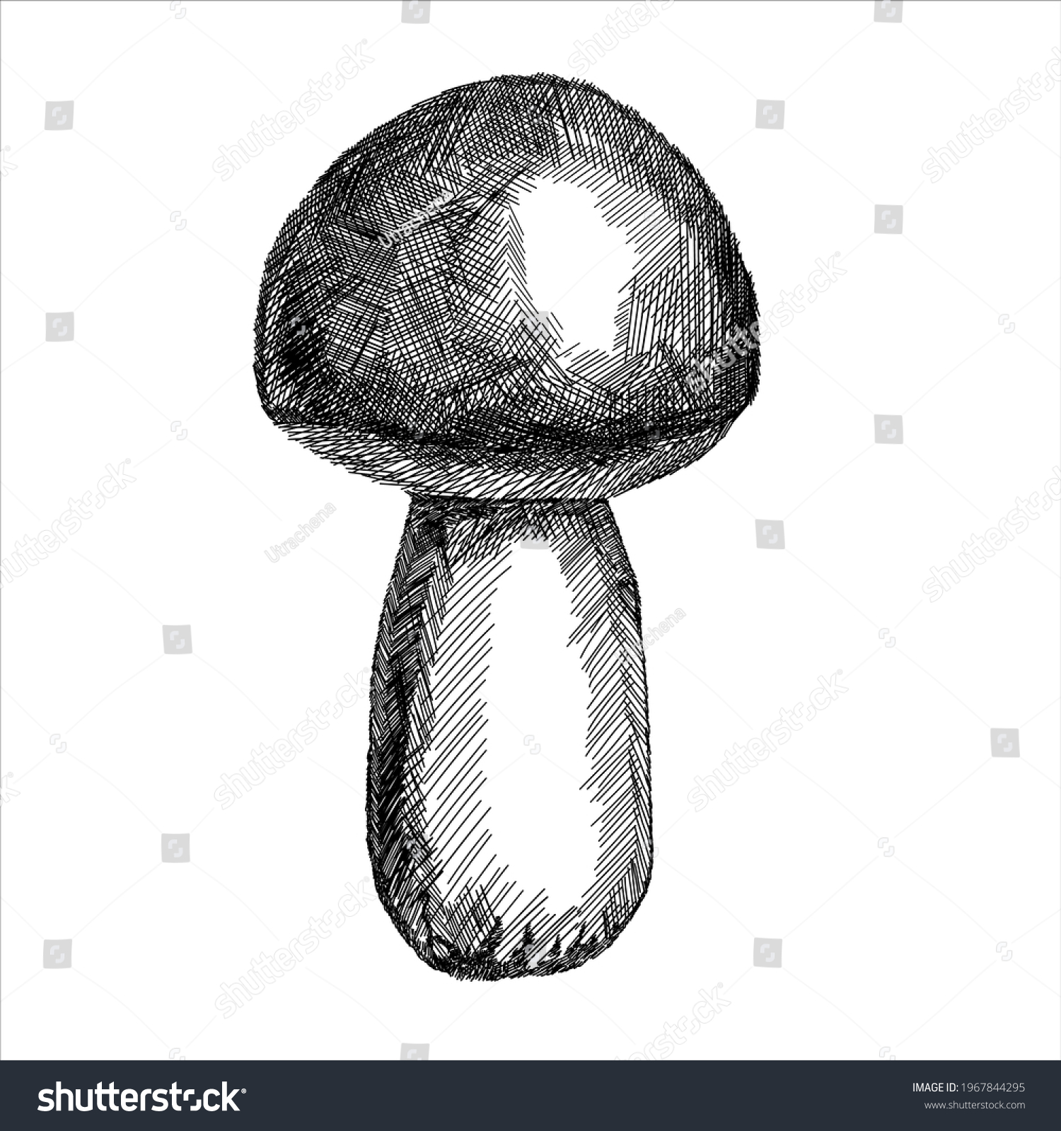 Mushroom Vector Monochrome Hatching Illustration Isolated Stock Vector ...