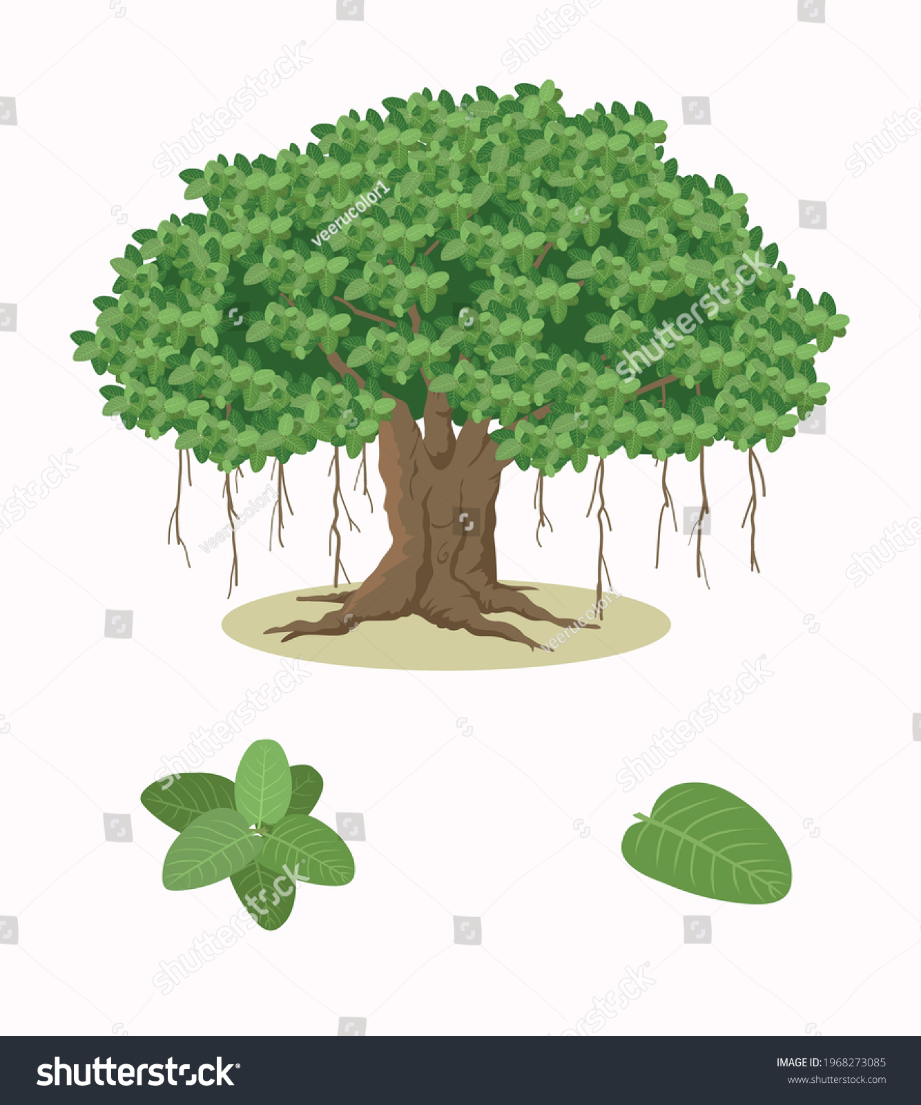 Banyan Tree Cartoon Vector Illustration Stock Vector Royalty Free 1968273085 Shutterstock 9108